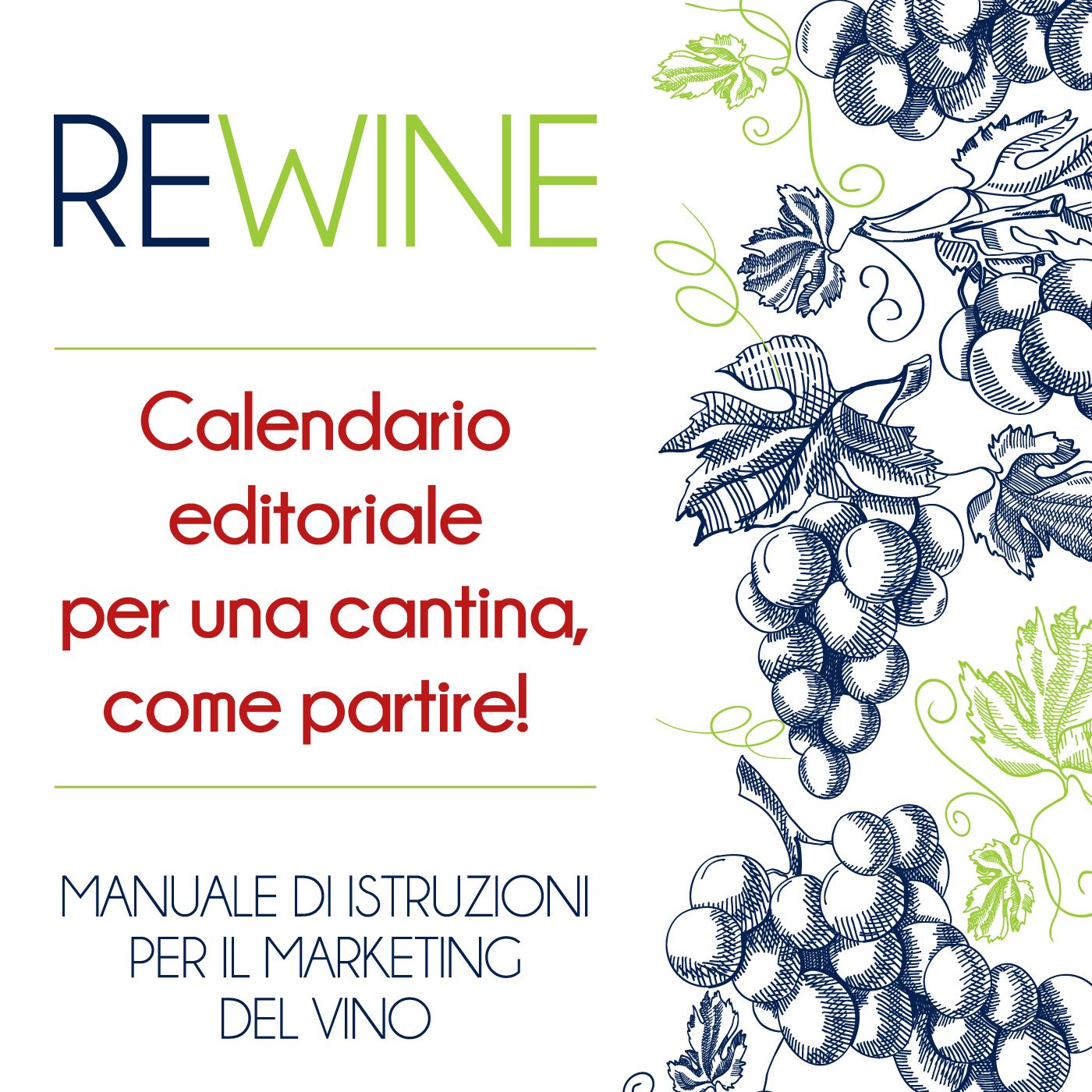 ReWine- Manuale di Marketing del vino
