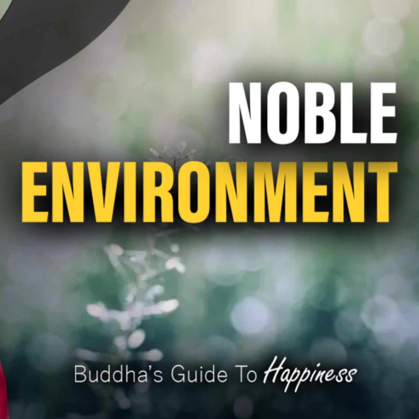 Noble Environment