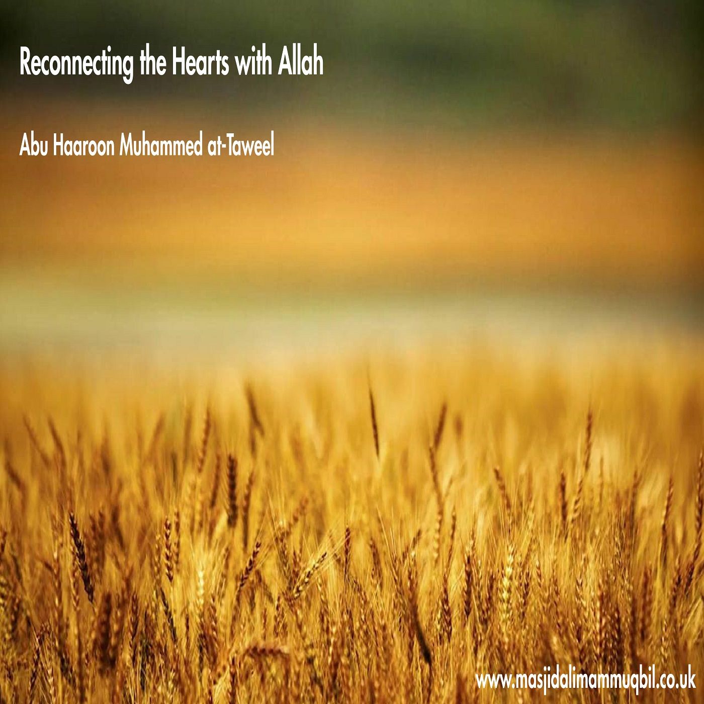 Reconnecting the Hearts with Allah | Abu Haroon Muhammad at-Taweel episode artwork