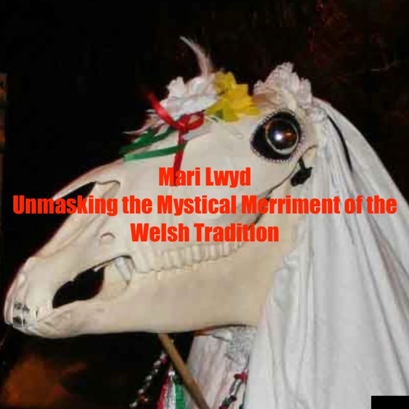 Mari Lwyd Unmasking the Mystical Merriment of the Welsh Tradition podcast artwork