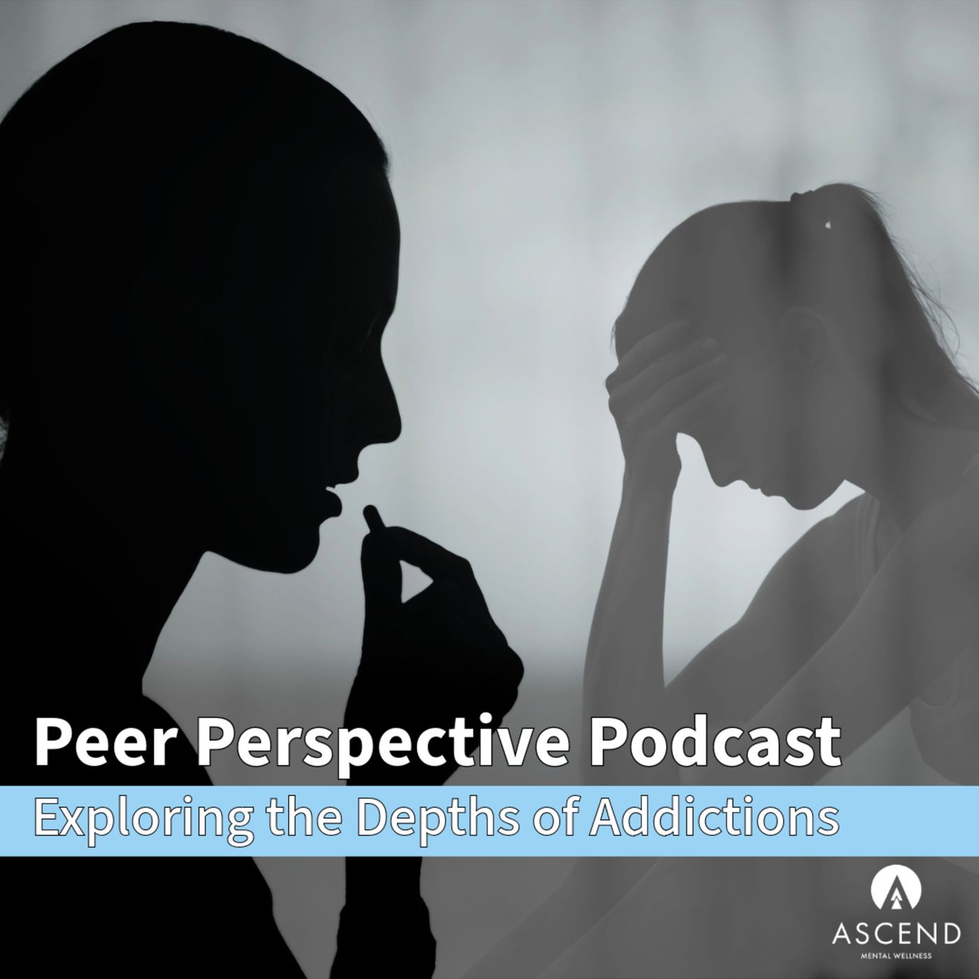 Peer Perspective