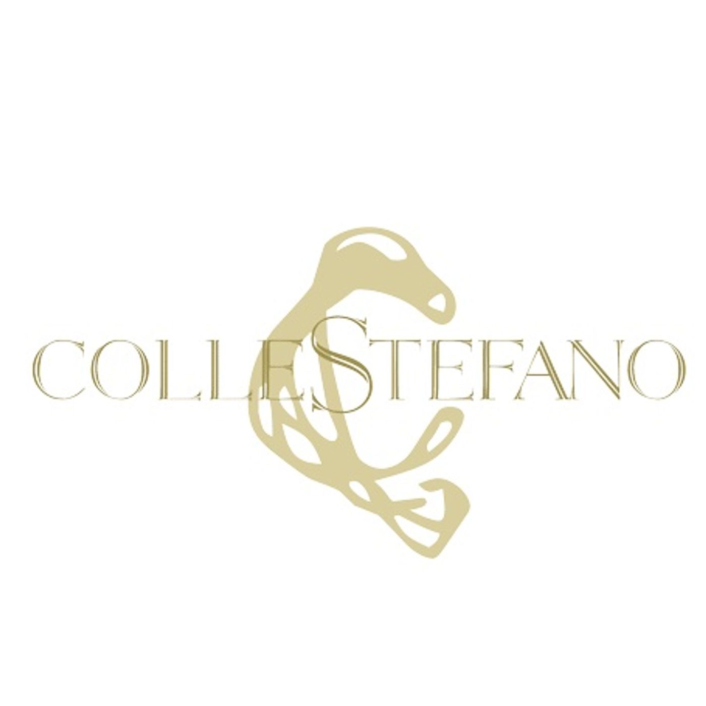 Colle Stefano - Fabio Marchionni