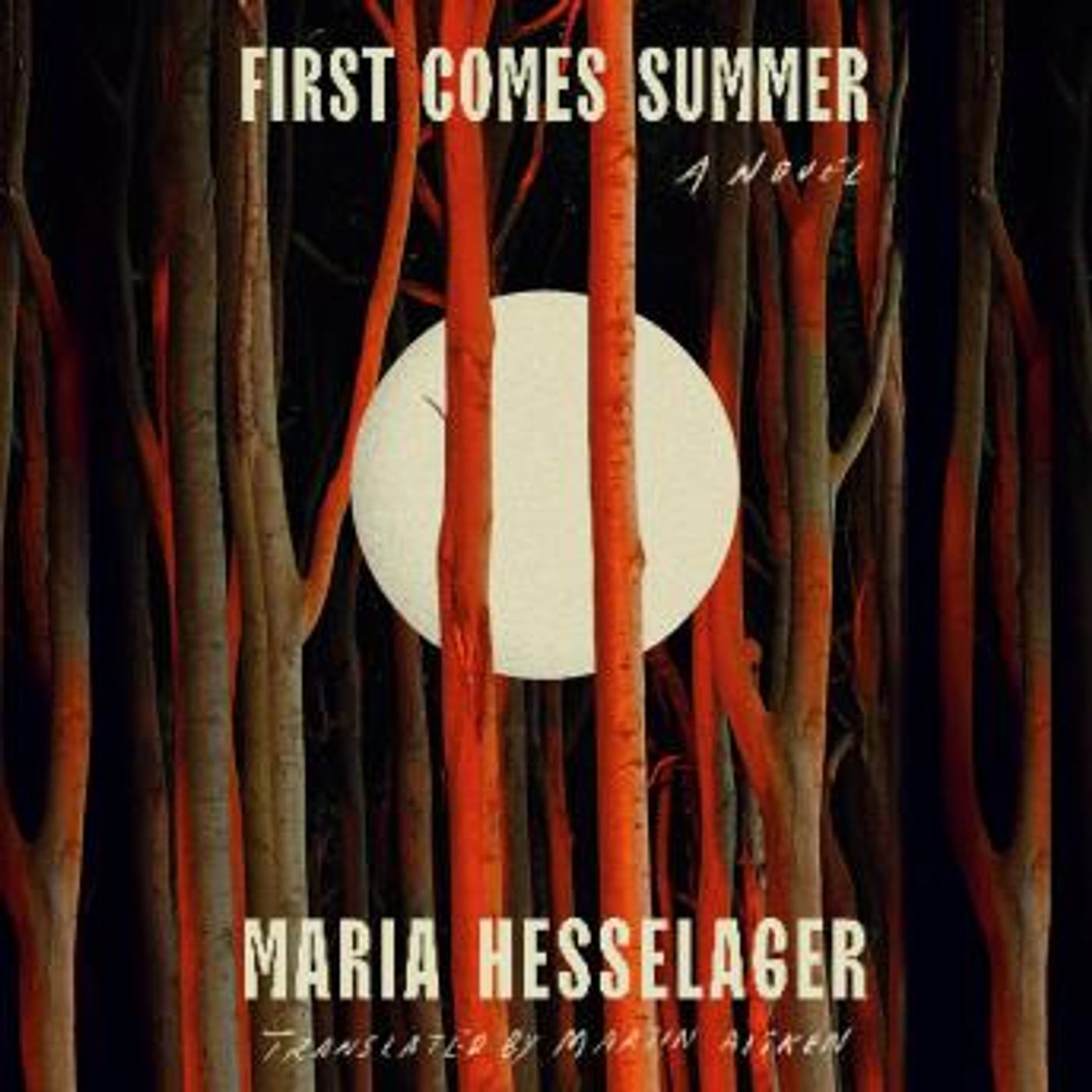 First Comes Summer: A Novel by Maria Hesselager episode artwork