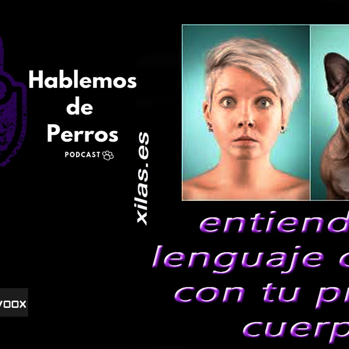 Hablemos de perros