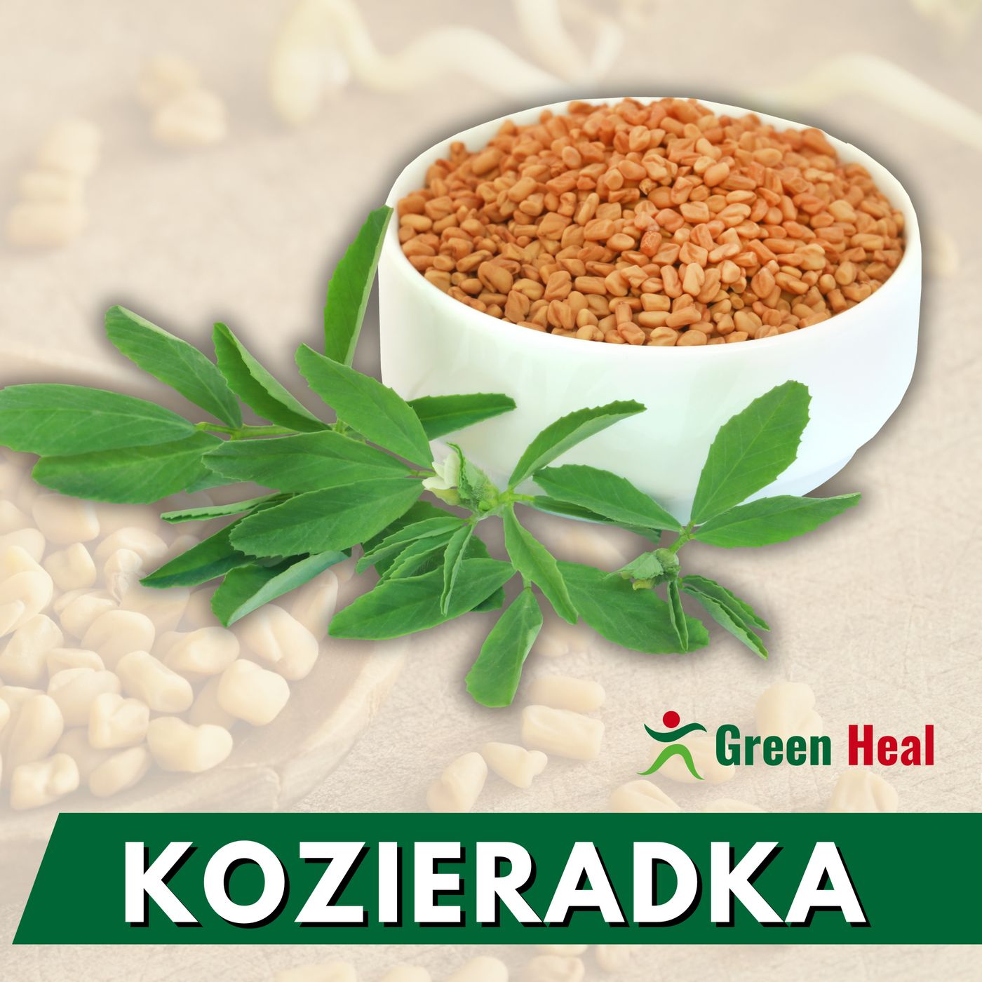 Kozieradka – właściwości lecznicze i zastosowanie