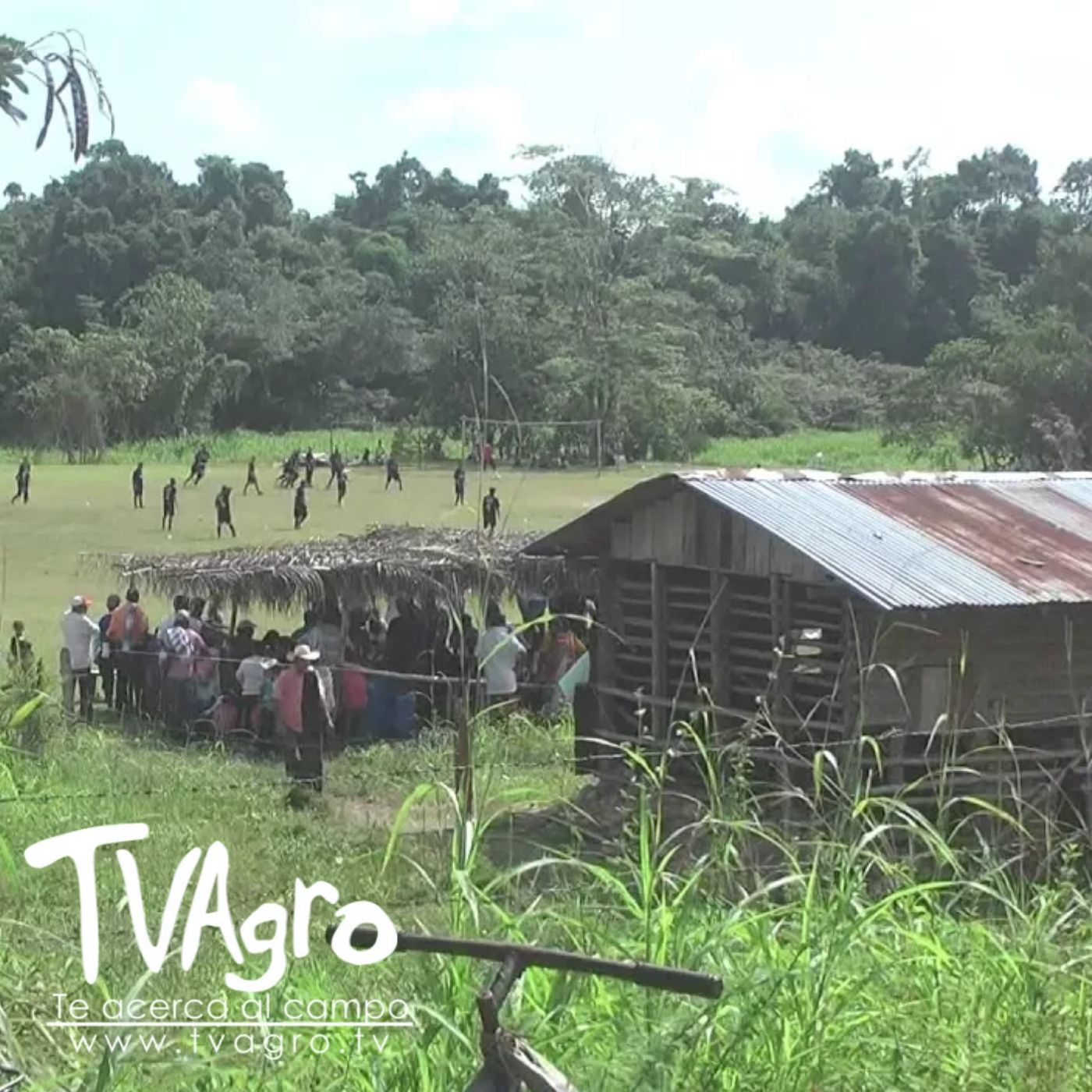 TV AGRO