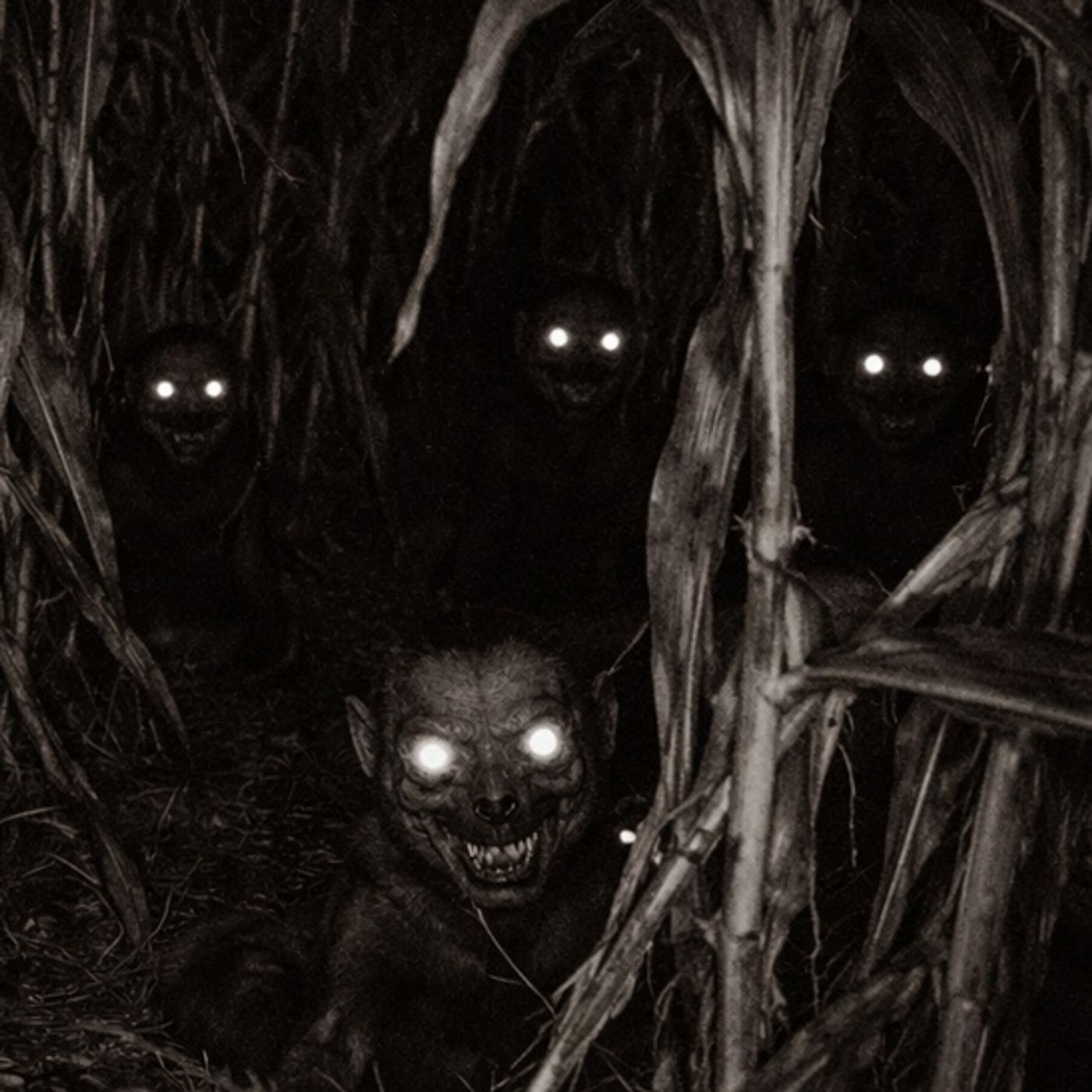 Los DUENDES De Las Cañas Historias De Terror - REDE