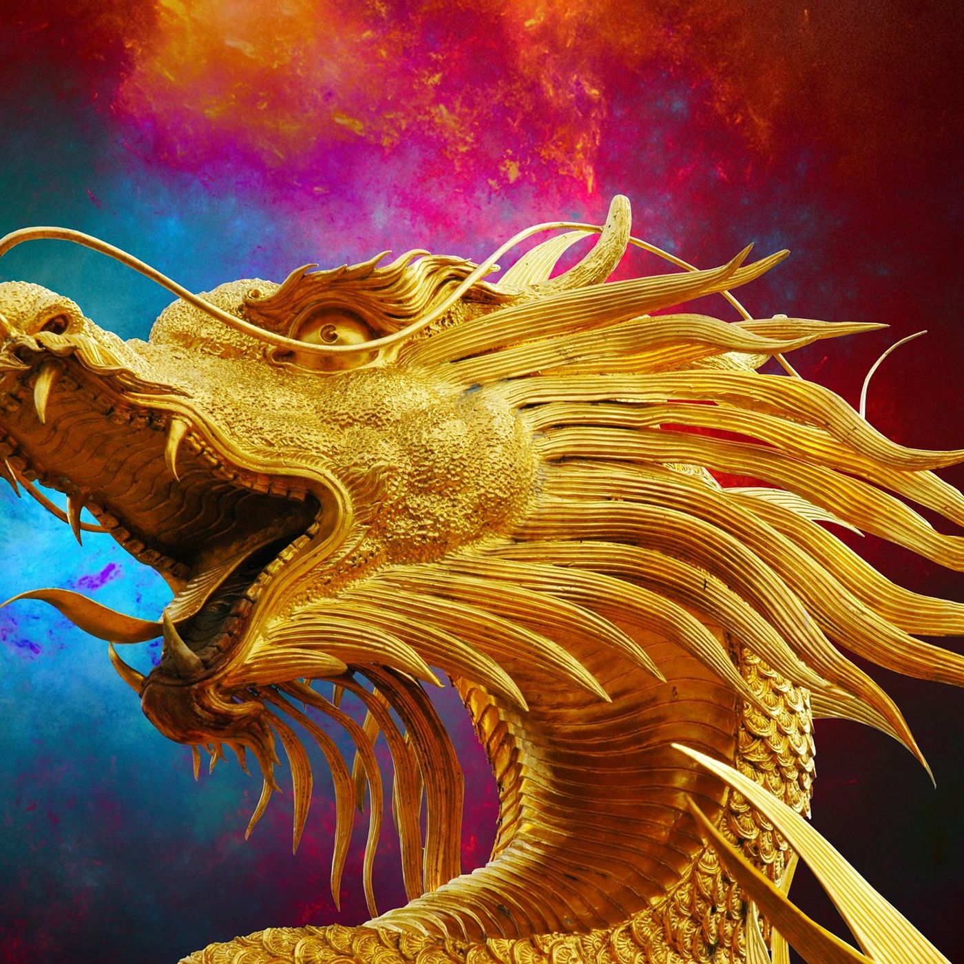 L'origine del animale piu amato del mondo ...IL DRAGO episode artwork