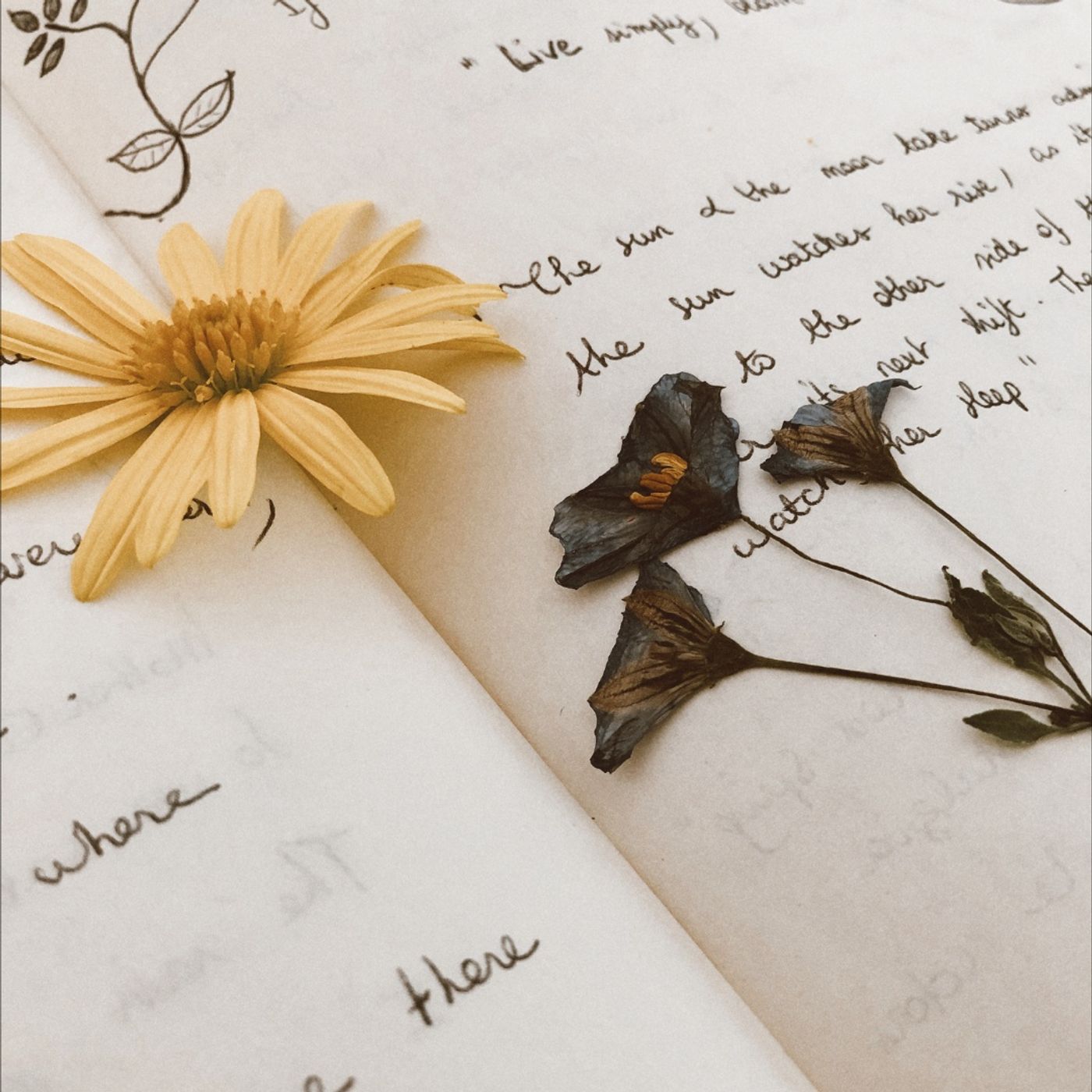 Épisode 148 | La force des mots (rediffusion)