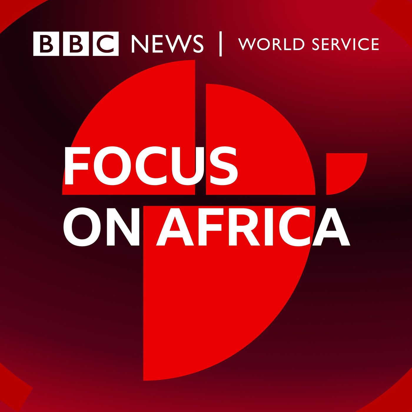 Introducing: Focus on Africa - Electric vehicles: fixing Africa's fuel crisis? episode artwork