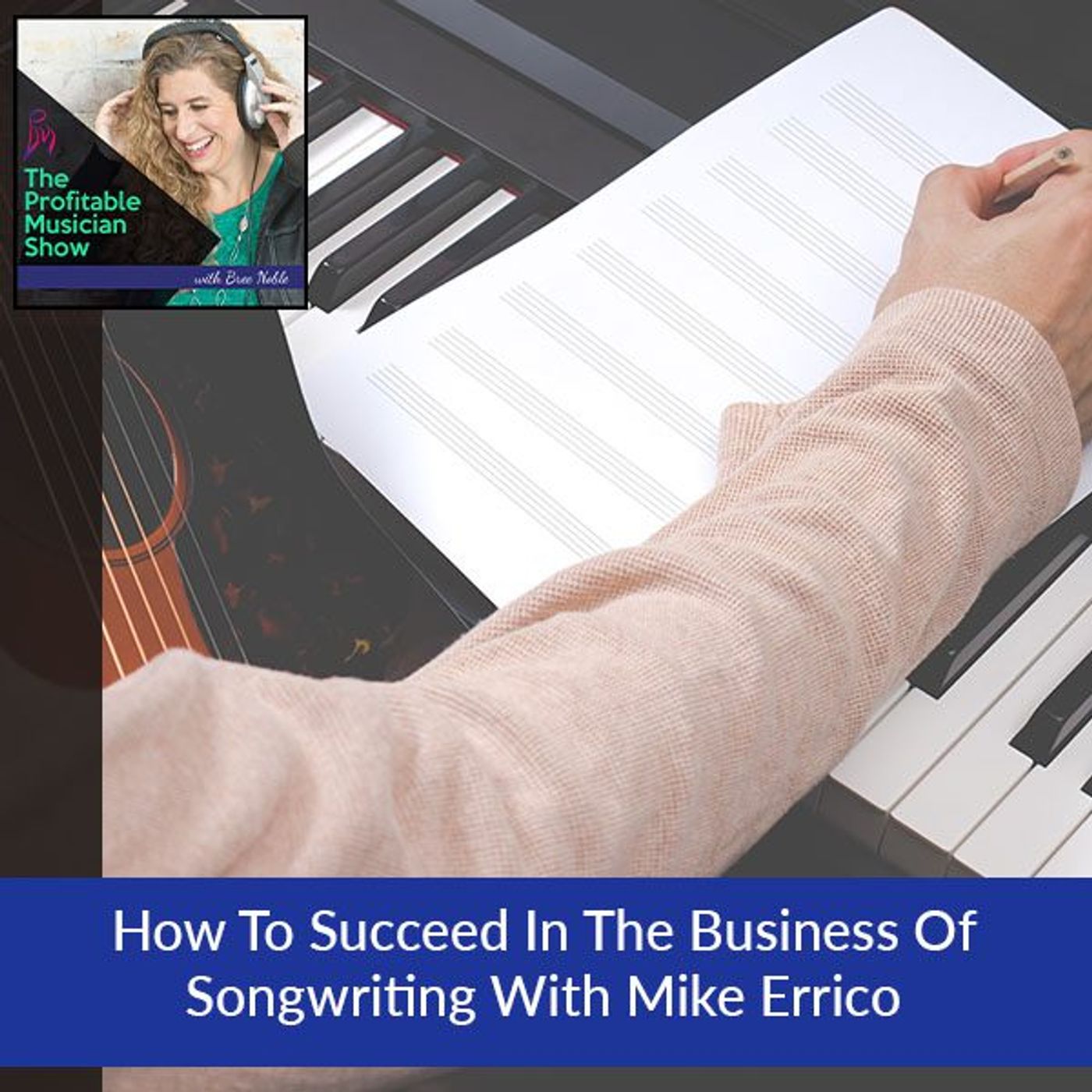 The Profitable Musician Show