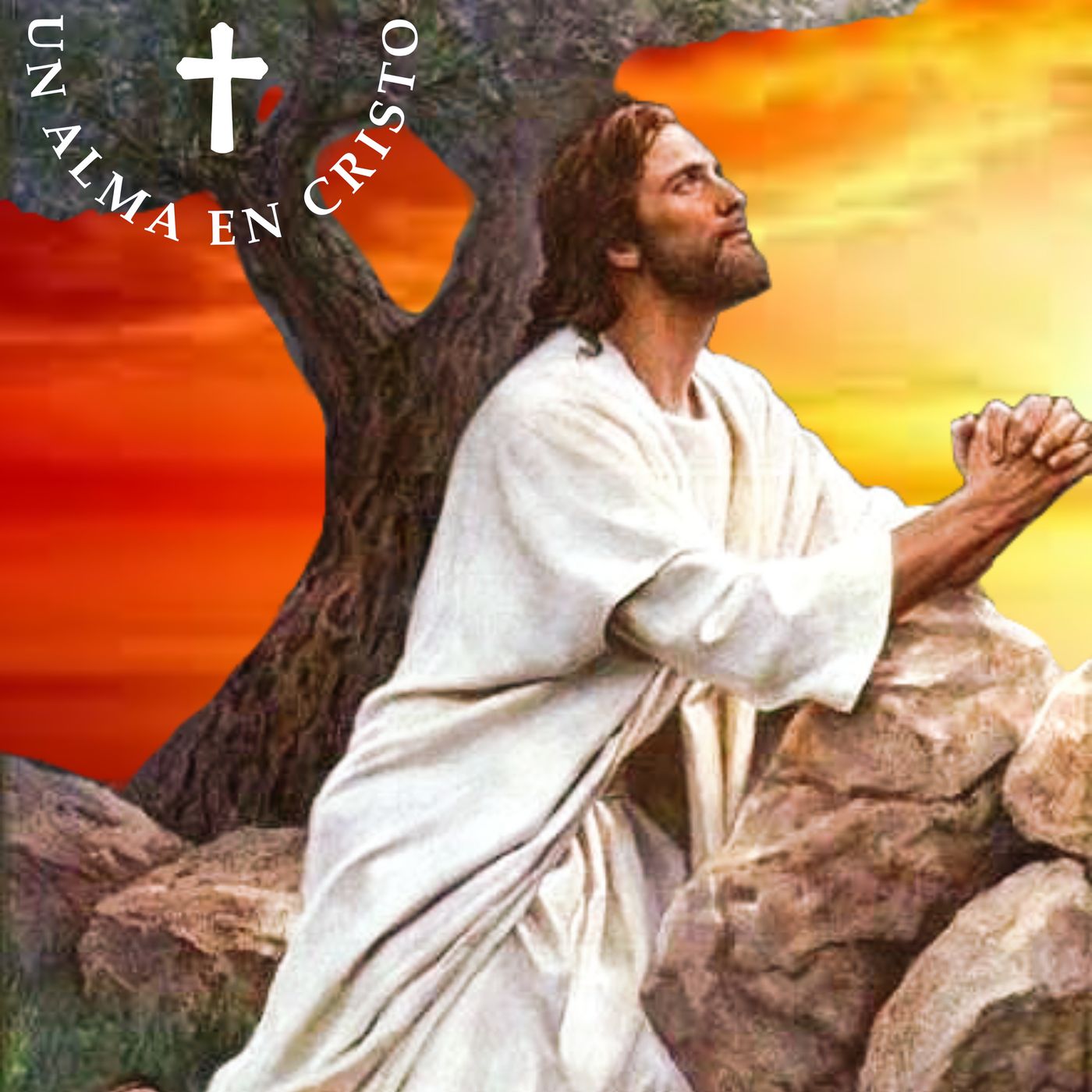 Un alma en Cristo UAC