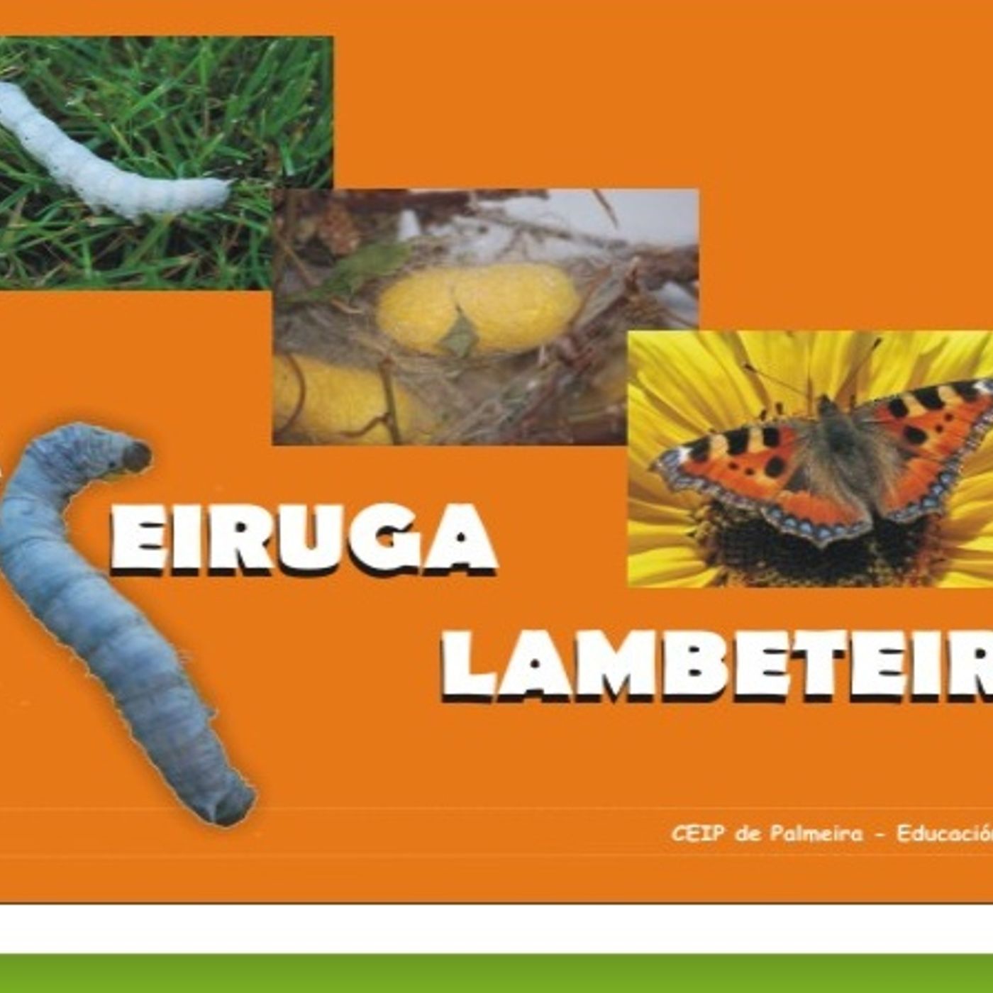 Enrolados