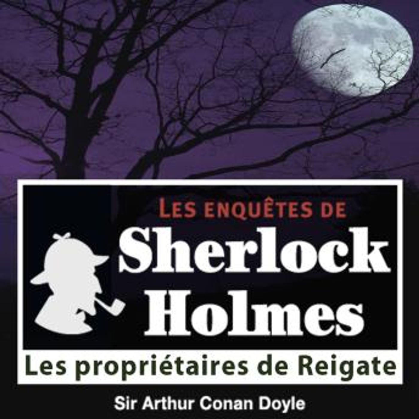 Les propriétaires de Reigate by Conan Doyle episode artwork