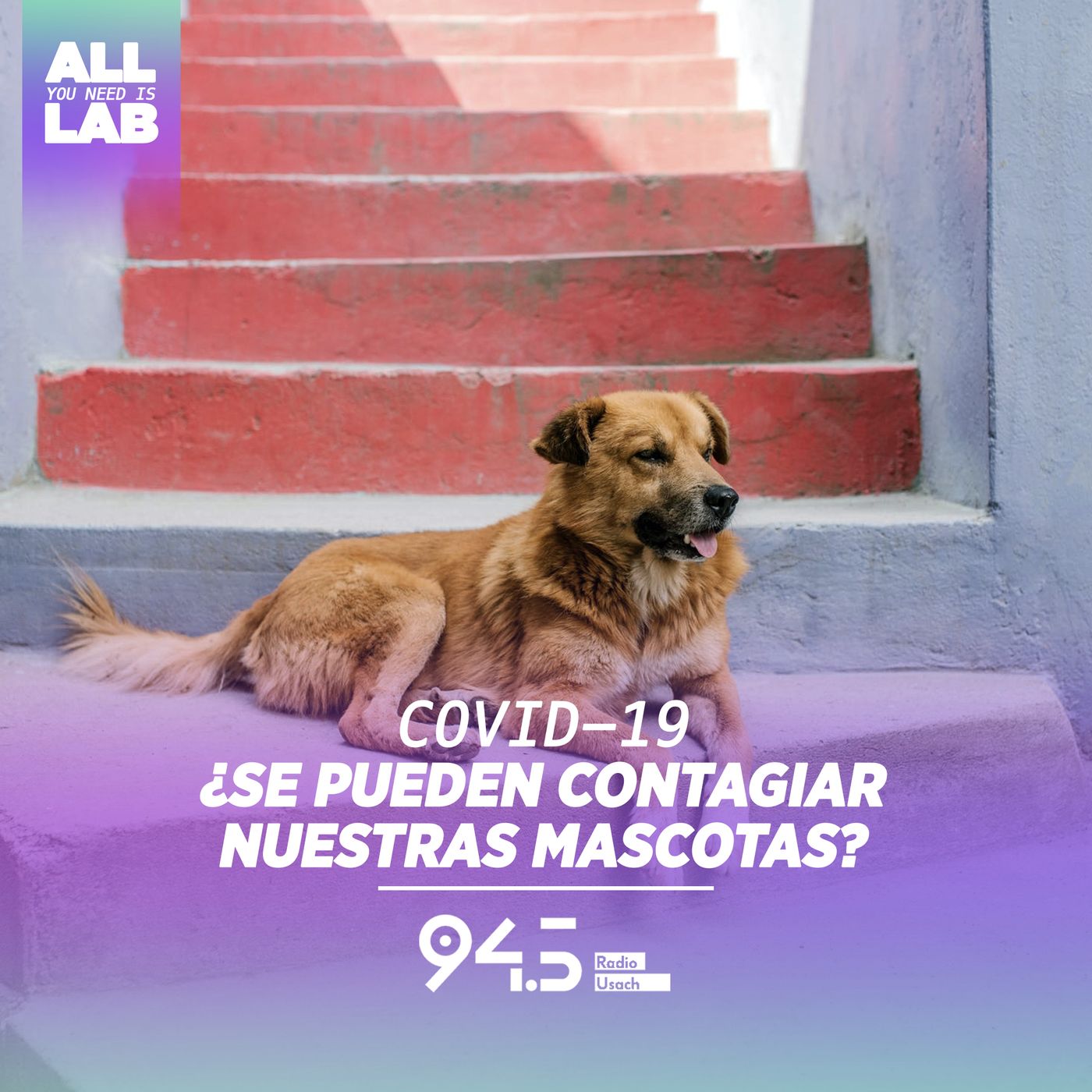 Portada de All you need is LAB