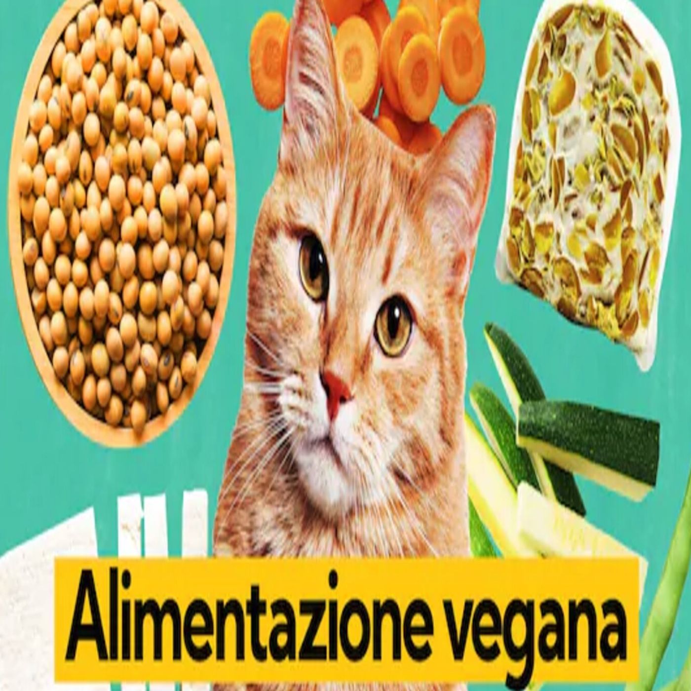 MediterrAnima