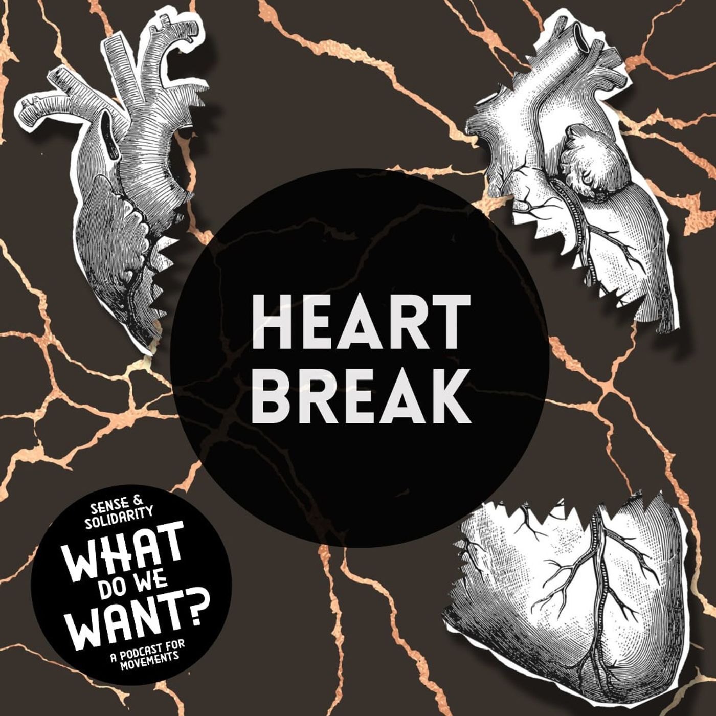What Do We Want? (A podcast about what brings movements together... and drives them apart)