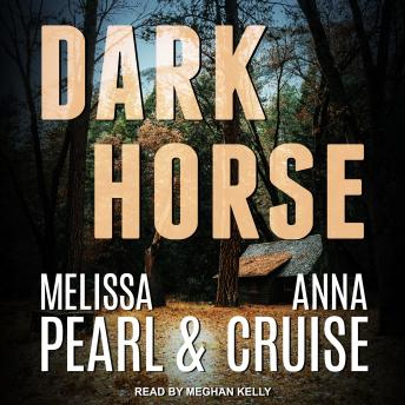 Access Top-Rated Full Audiobooks in Romance, Modern