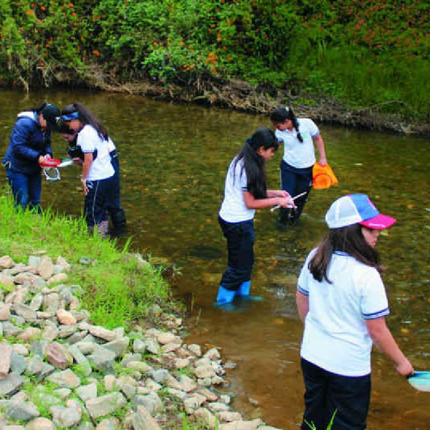 La educación ambiental en Latinoamérica episode artwork