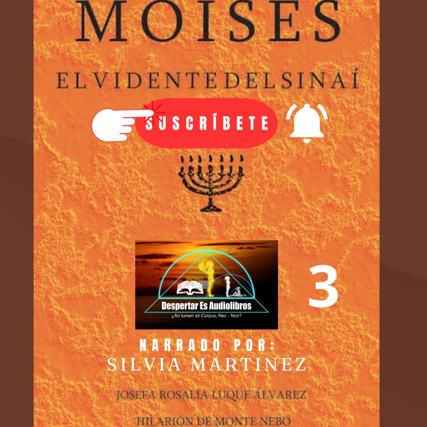 La Voz Interior. Silvia Martínez1