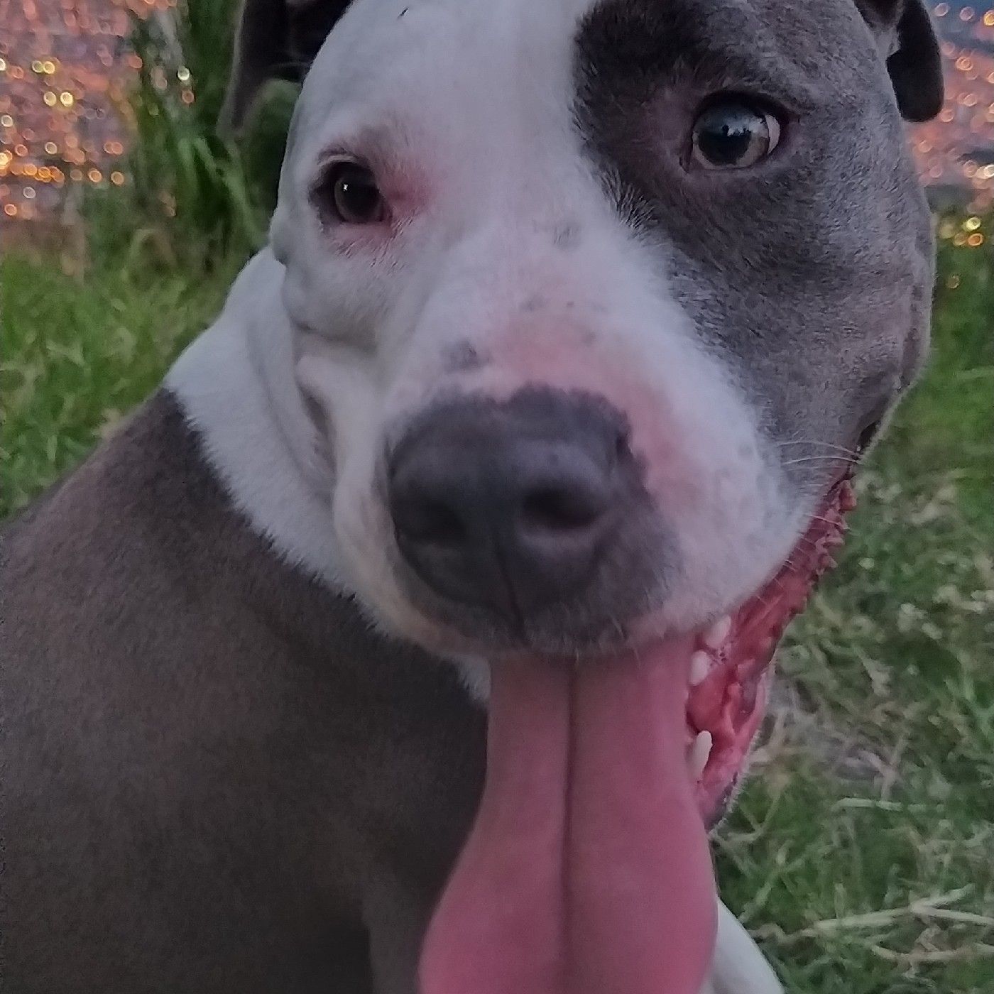 El podcast de: Juan Esteban Tabares