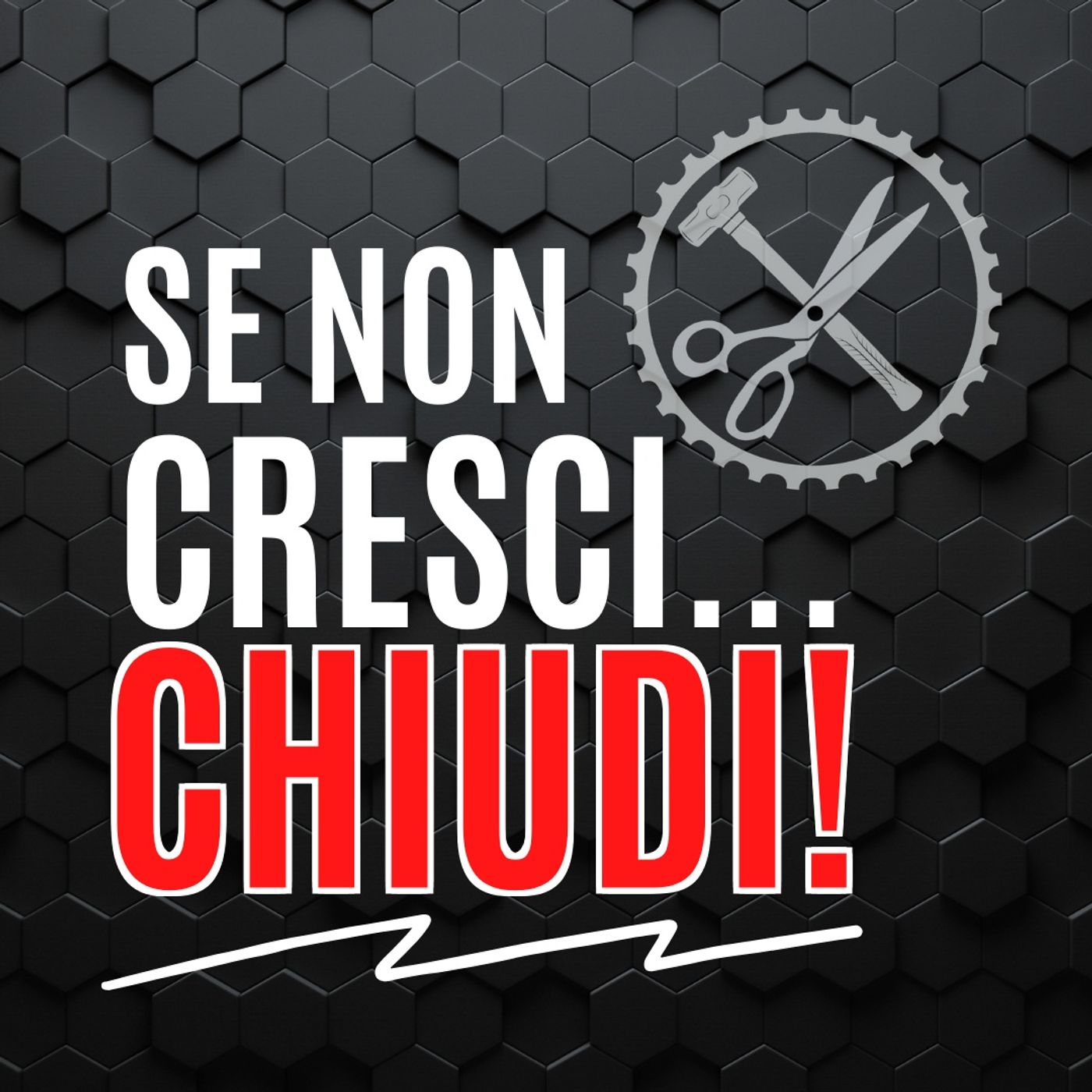 17 - Se non Cresci... CHIUDI! - Pillole di Comunicazione per le Aziende episode artwork