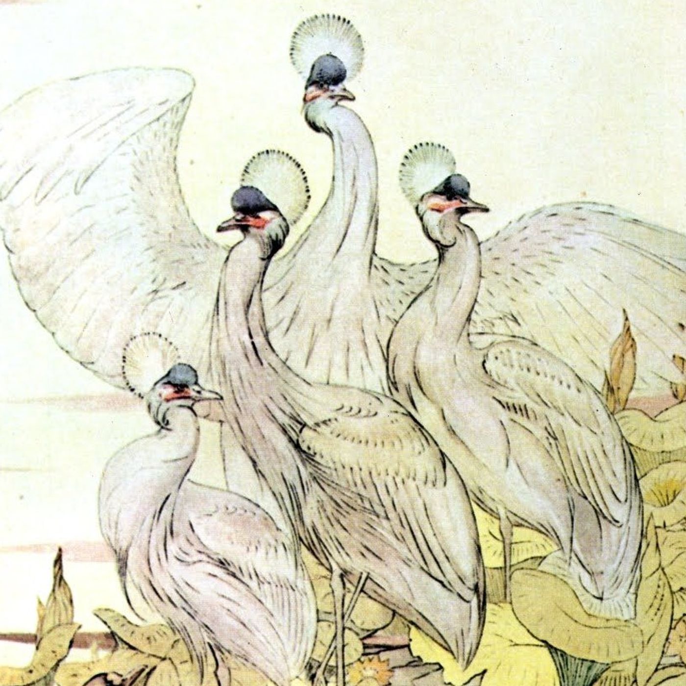 De Vogels, de Beesten en de Vleermuis | Aesopus Fabels episode artwork