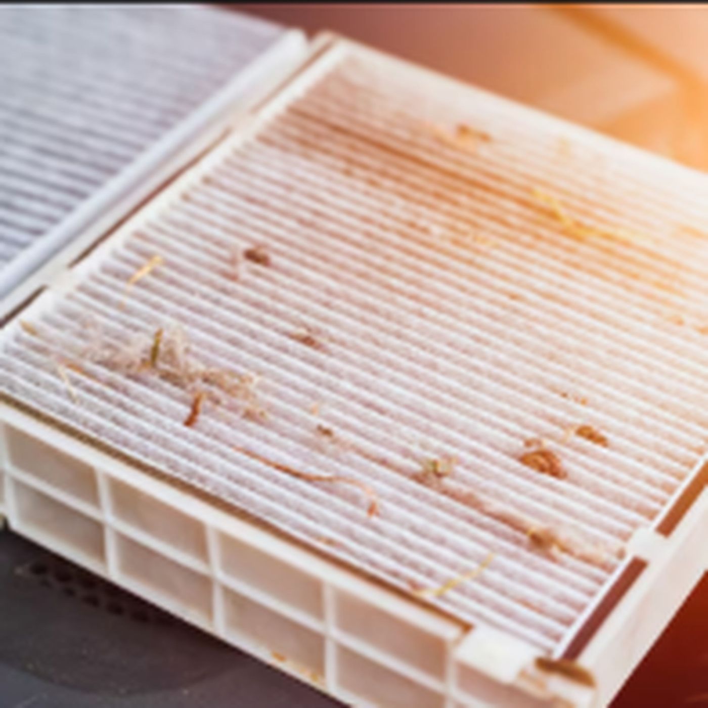 Best 23-5x25x2 Furnace & HVAC Air Conditioner Filters