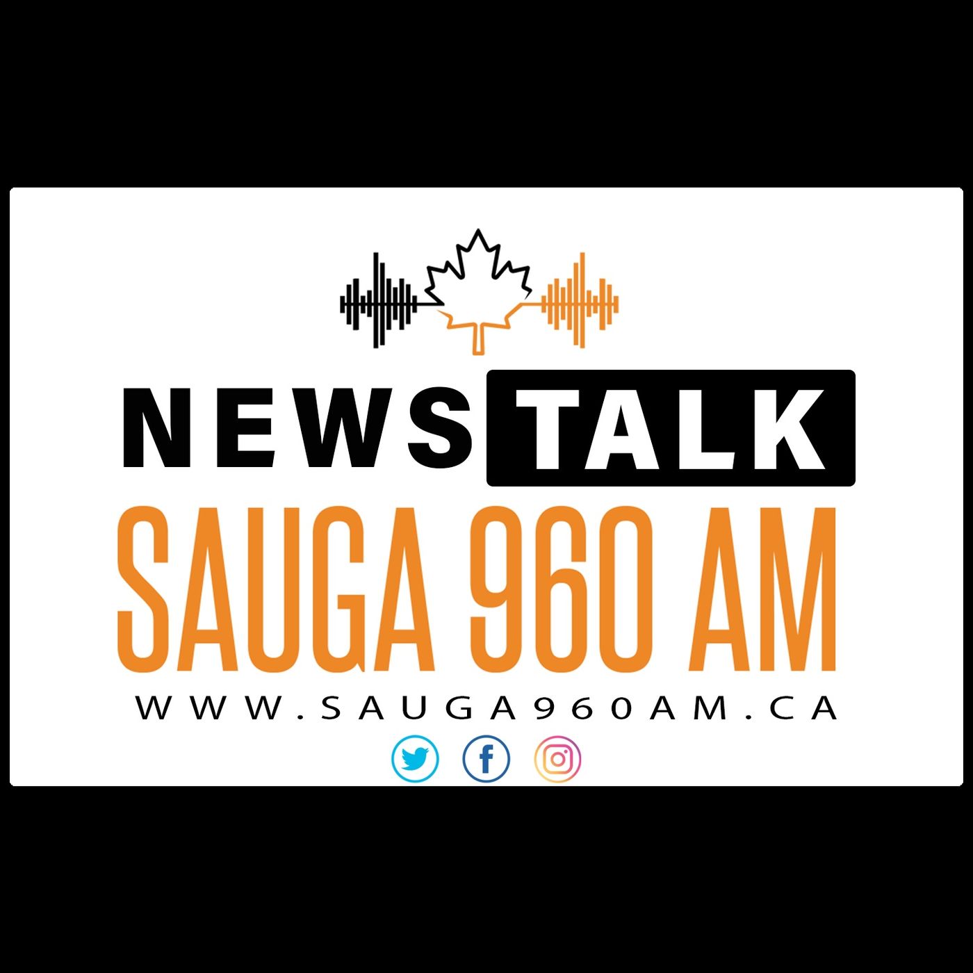 Big Talk - May 9, 2022 - Sara Singh: NDP Candidate in Brampton Centre