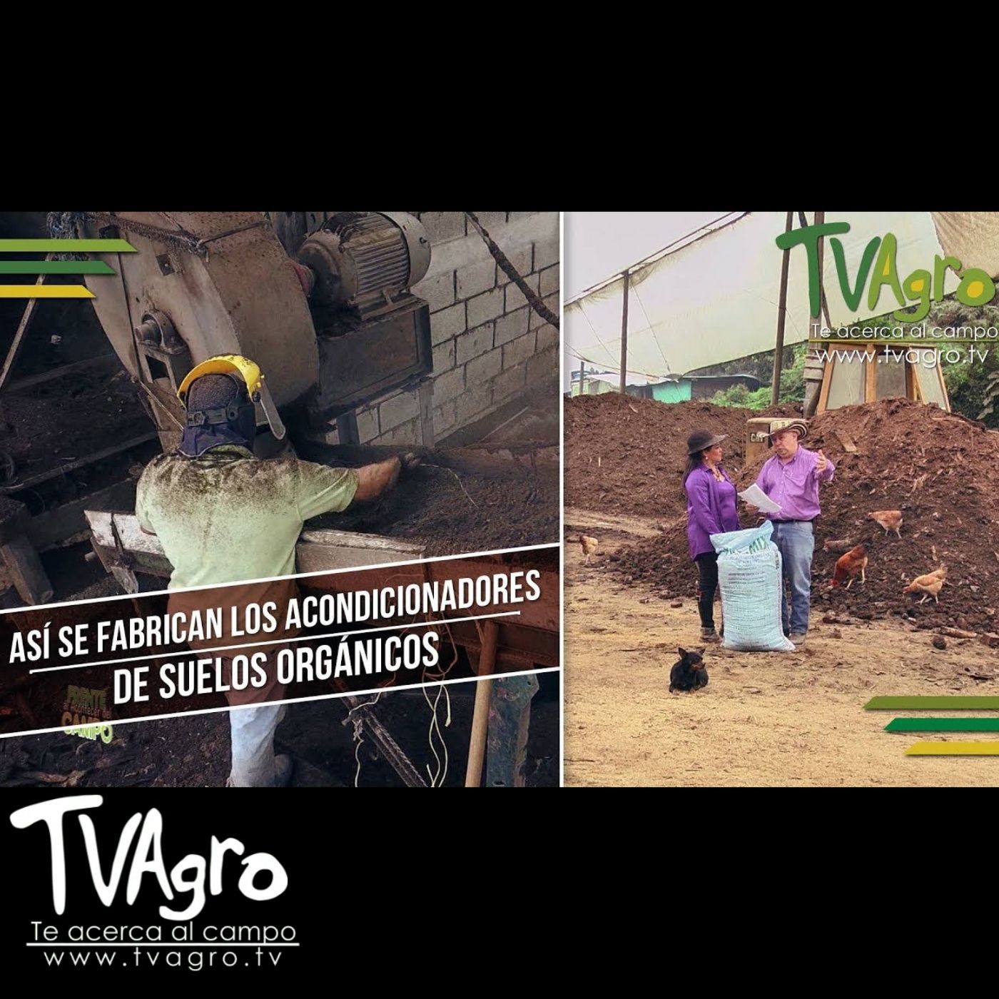 TV AGRO