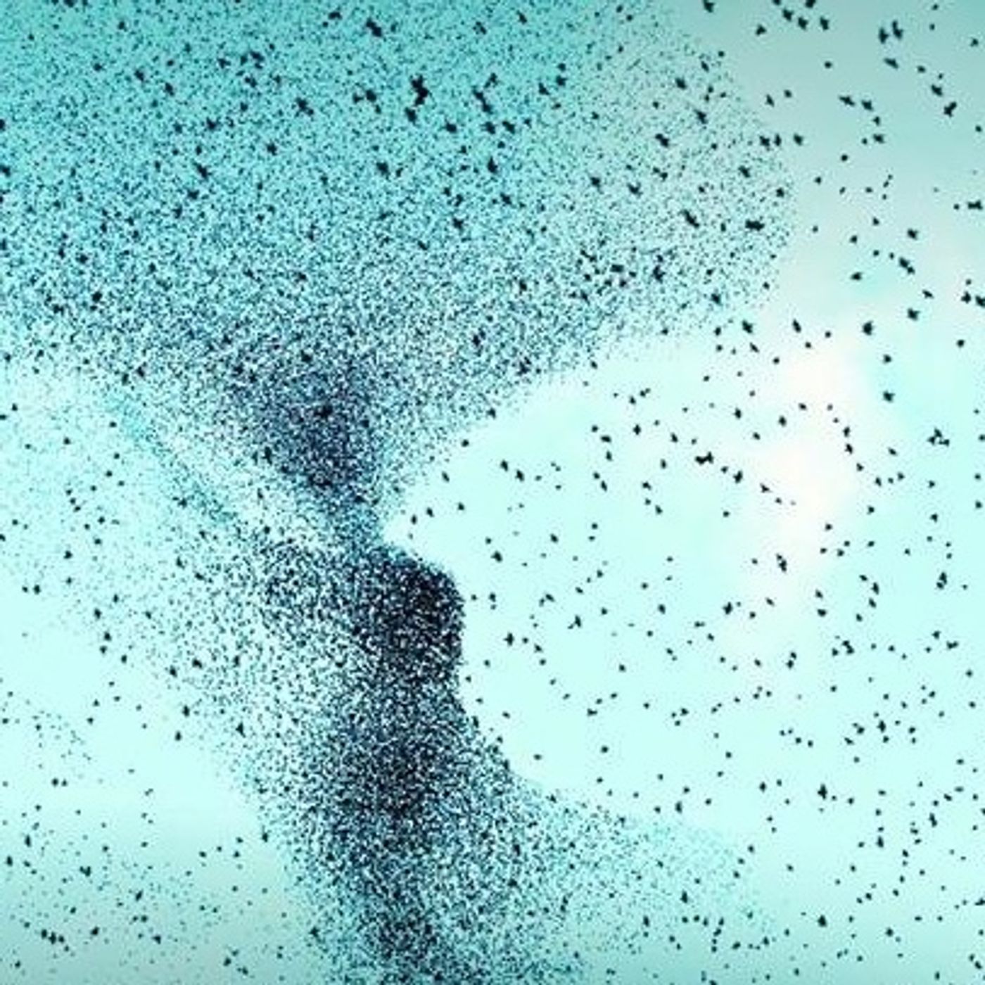 il posto delle parole