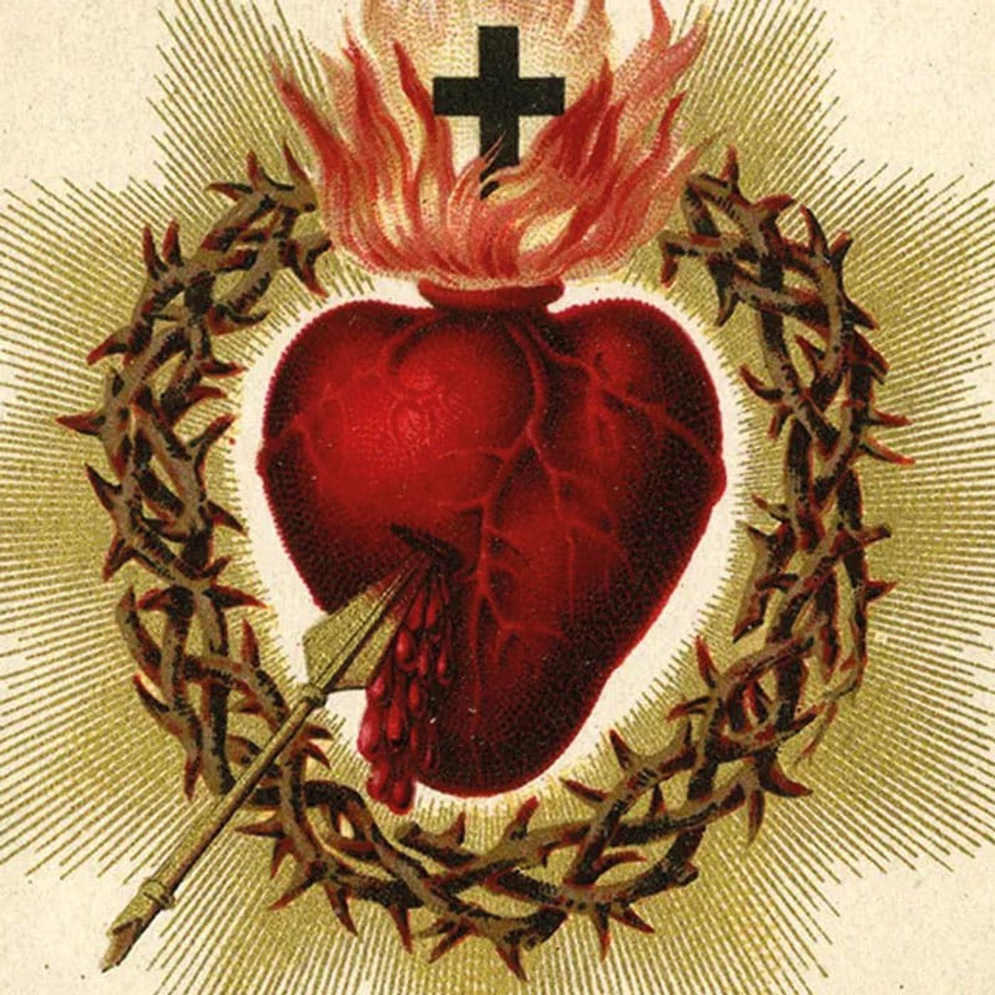 La Reflexión del Día "El Sagrado Corazón de Jesús en mi corazón" episode artwork