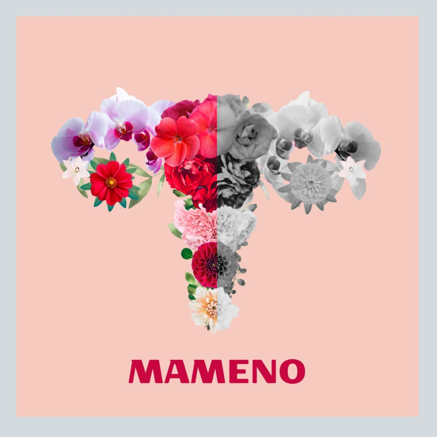 Mocą zebrane - rozmowy MAMENO