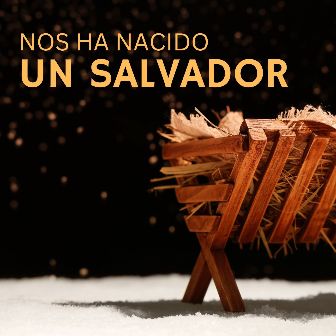 Iglesia Impacto TGU Sur