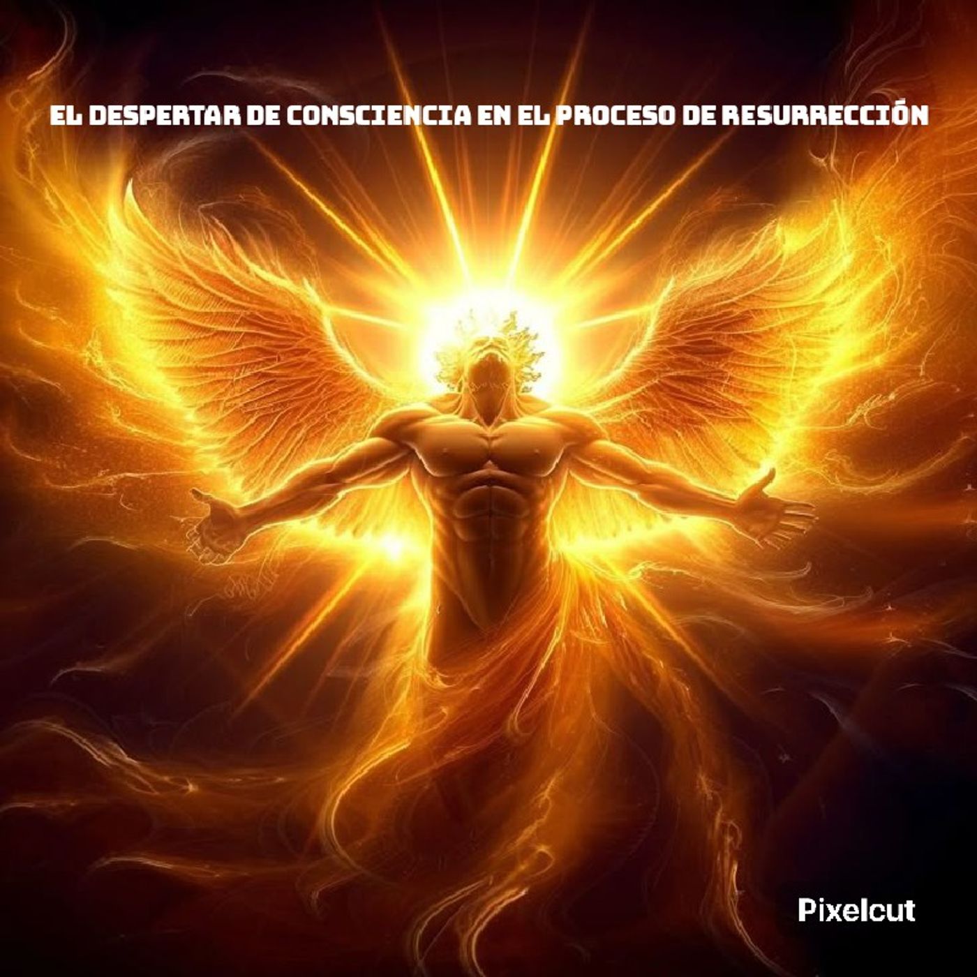 Episodio 6 - Maestro de Maestros episode artwork