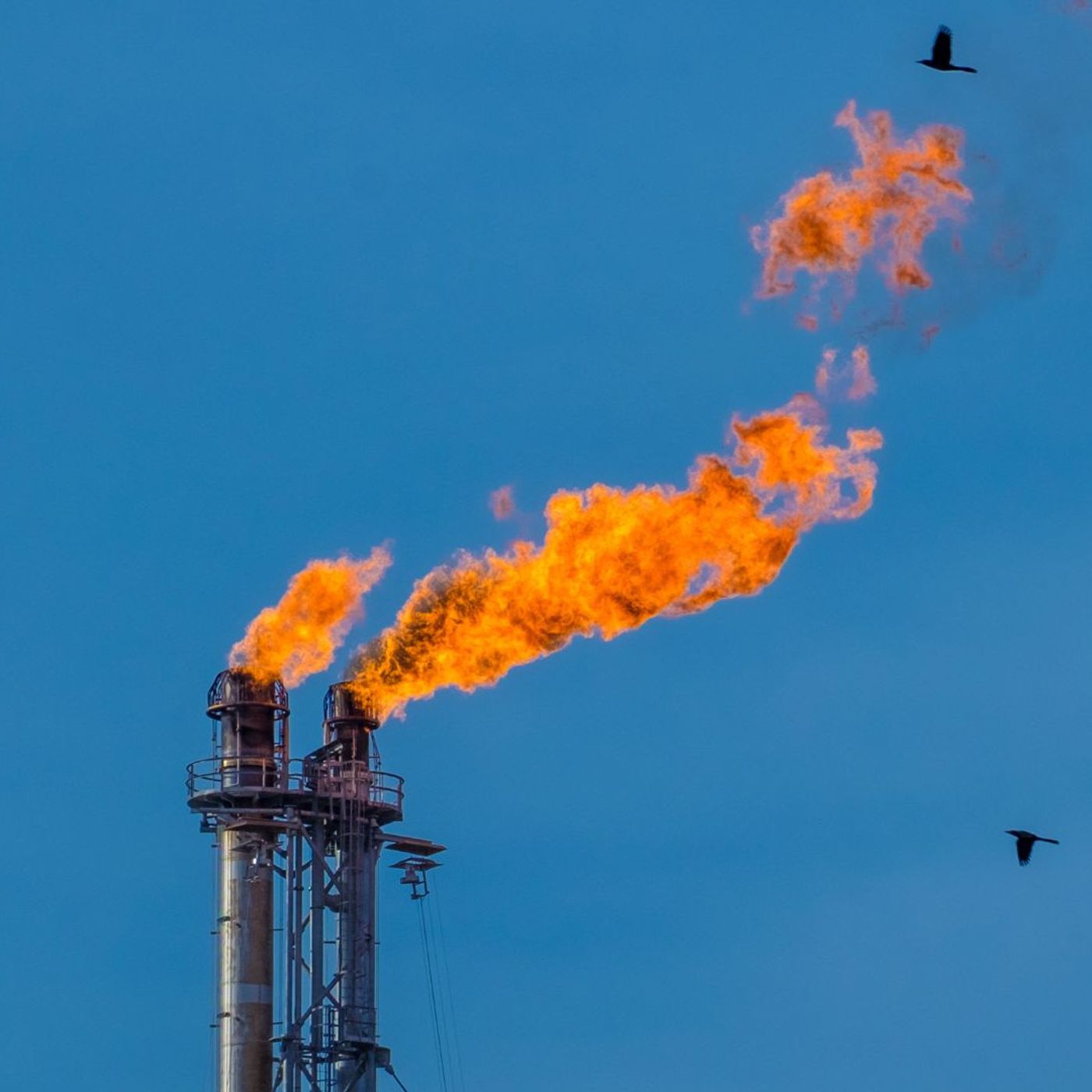 'Absolutely outrageous'_ Enten spotlights priciest gas in the US episode artwork