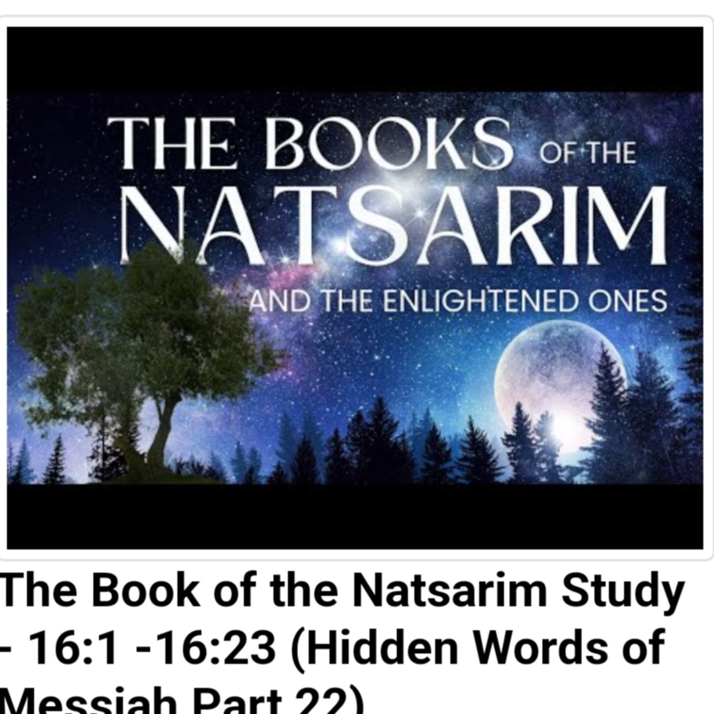 The Book of the Natsarim Study - 16:1 -16:23 (Hidden Words of Messiah Part 22) episode artwork