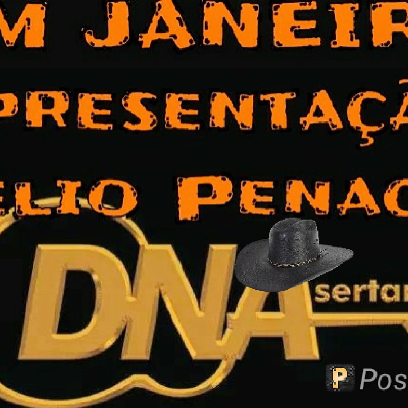 DNAsertanejo