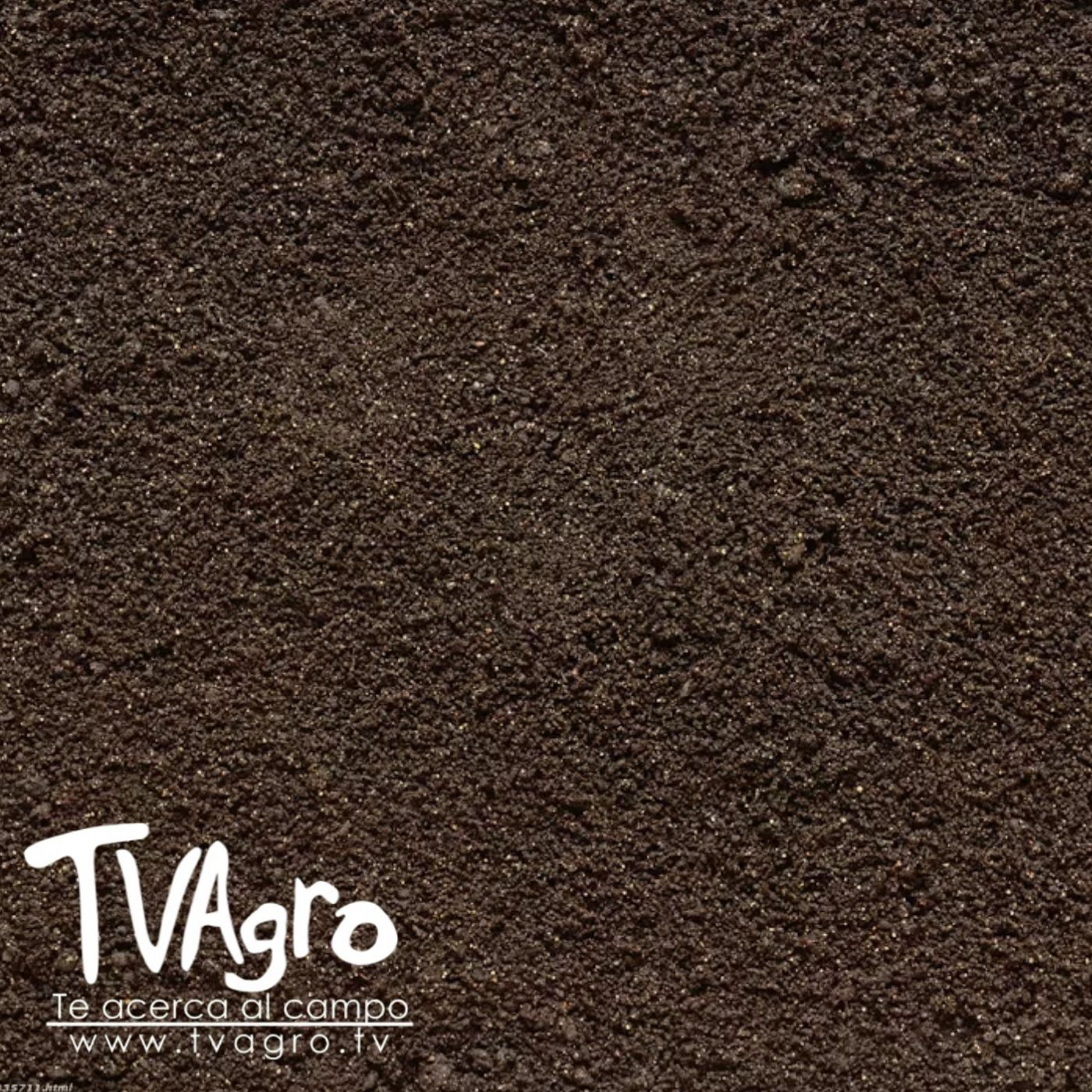 TV AGRO