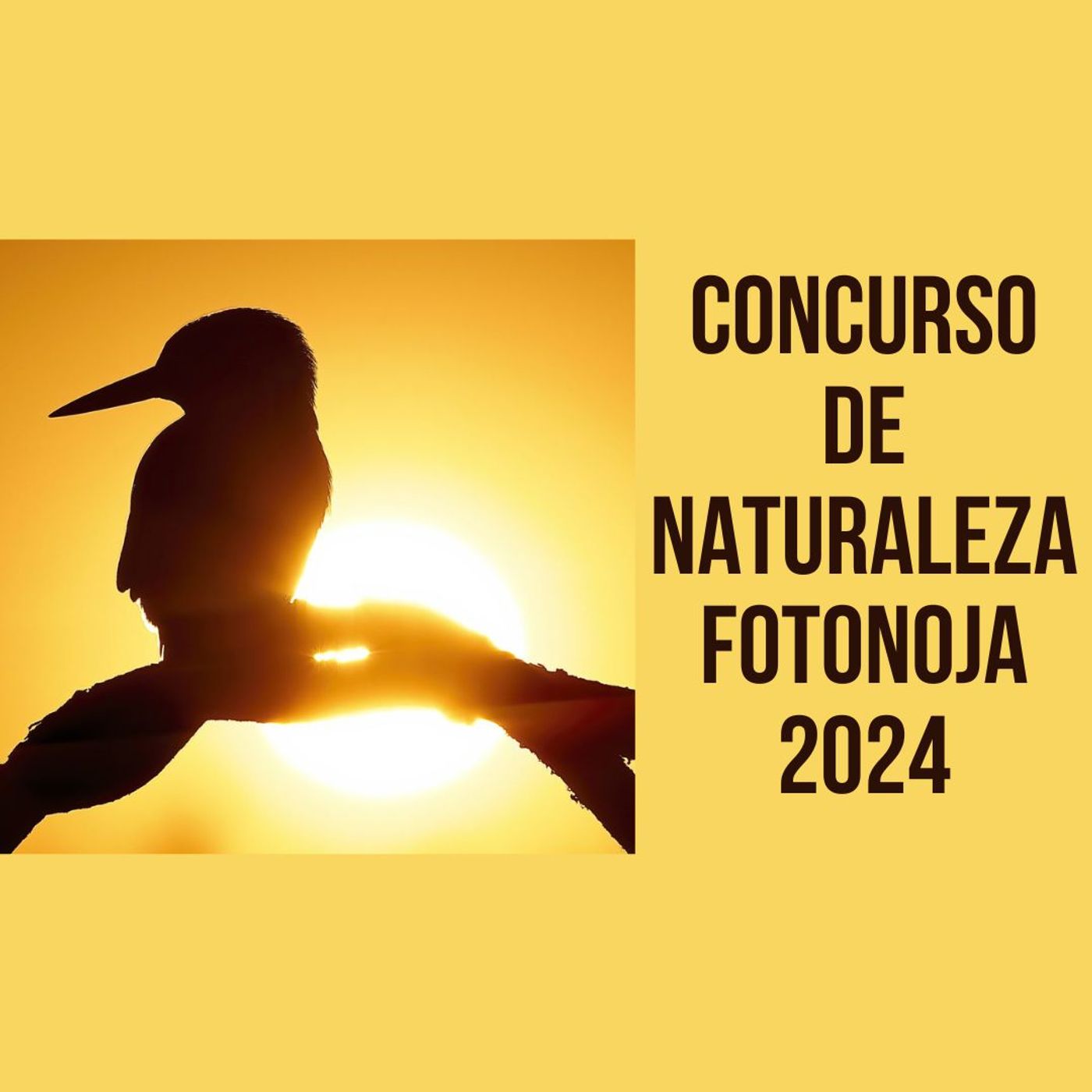 Concurso de naturaleza Fotonoja 2024