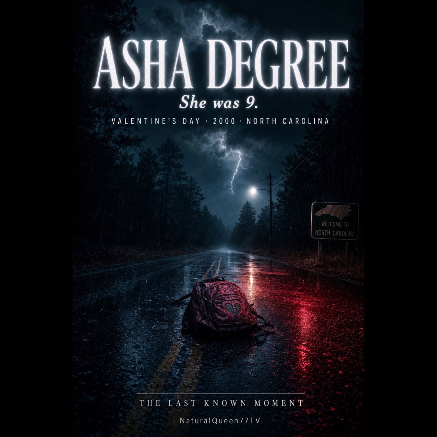 The Last Known Moment EP3: The Disappearance of Asha Degree episode artwork