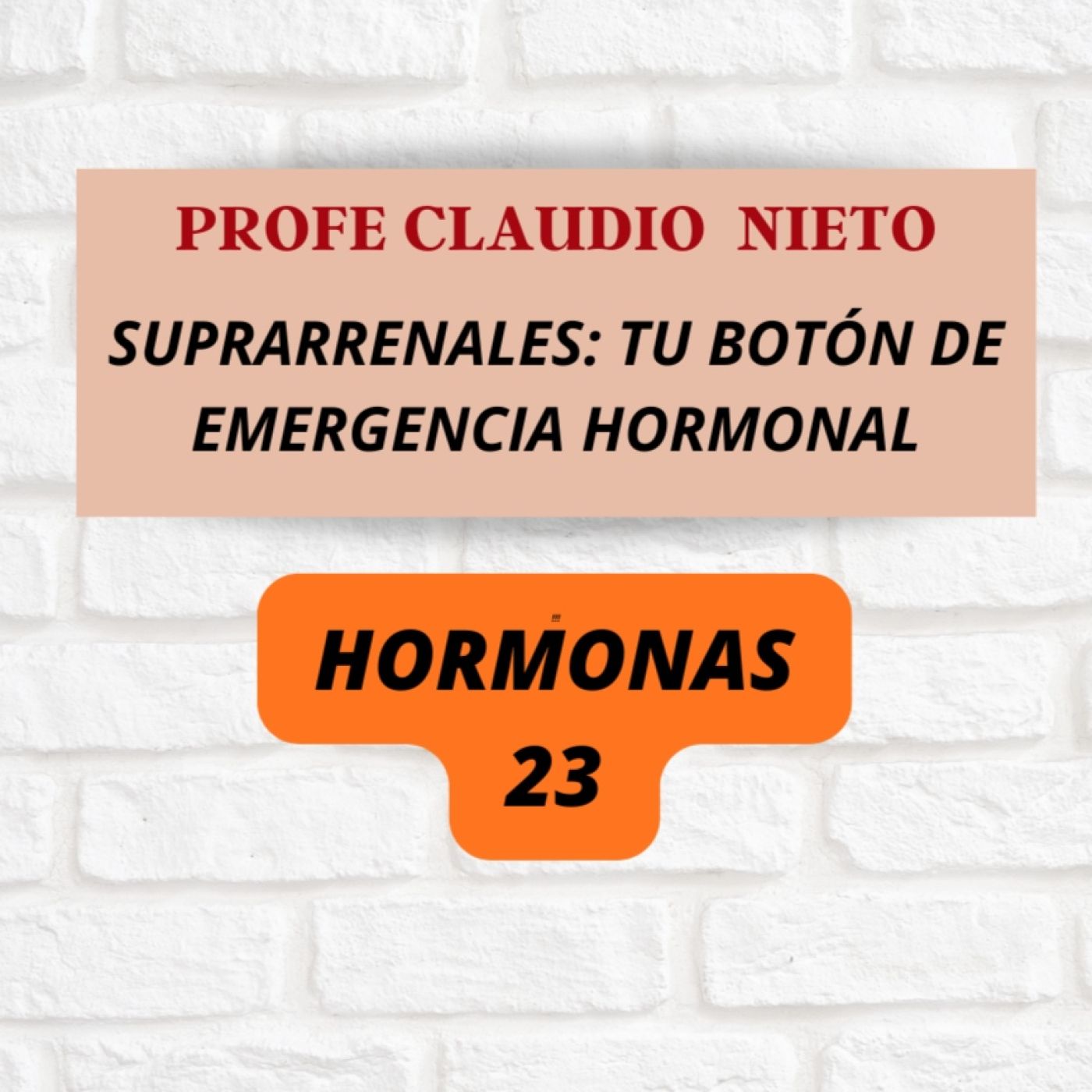 271. TUS GLÁNDULAS SUPRARRENALES: el sistema que decide tu energía, tu estrés y tu rendimiento #HORMONAS 23