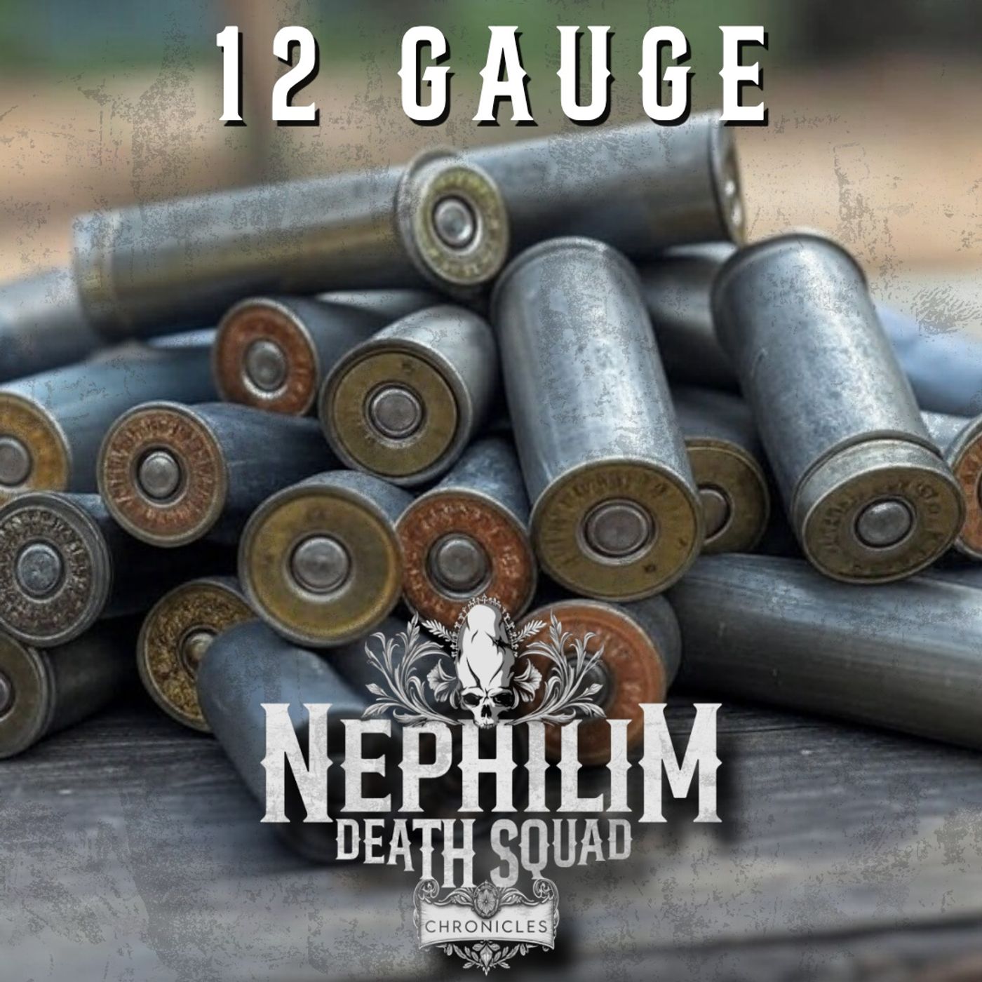 008: NDS Chronicles - 12 GAUGE
