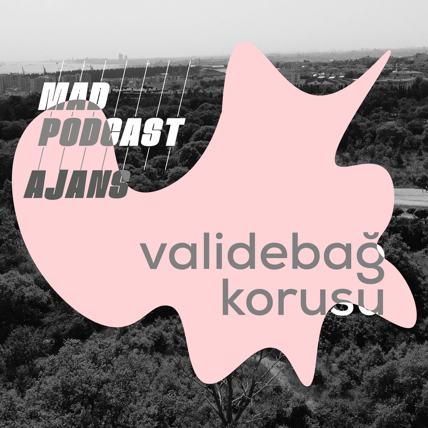 Ajans #3 Validebağ Korusunu Korumak episode artwork