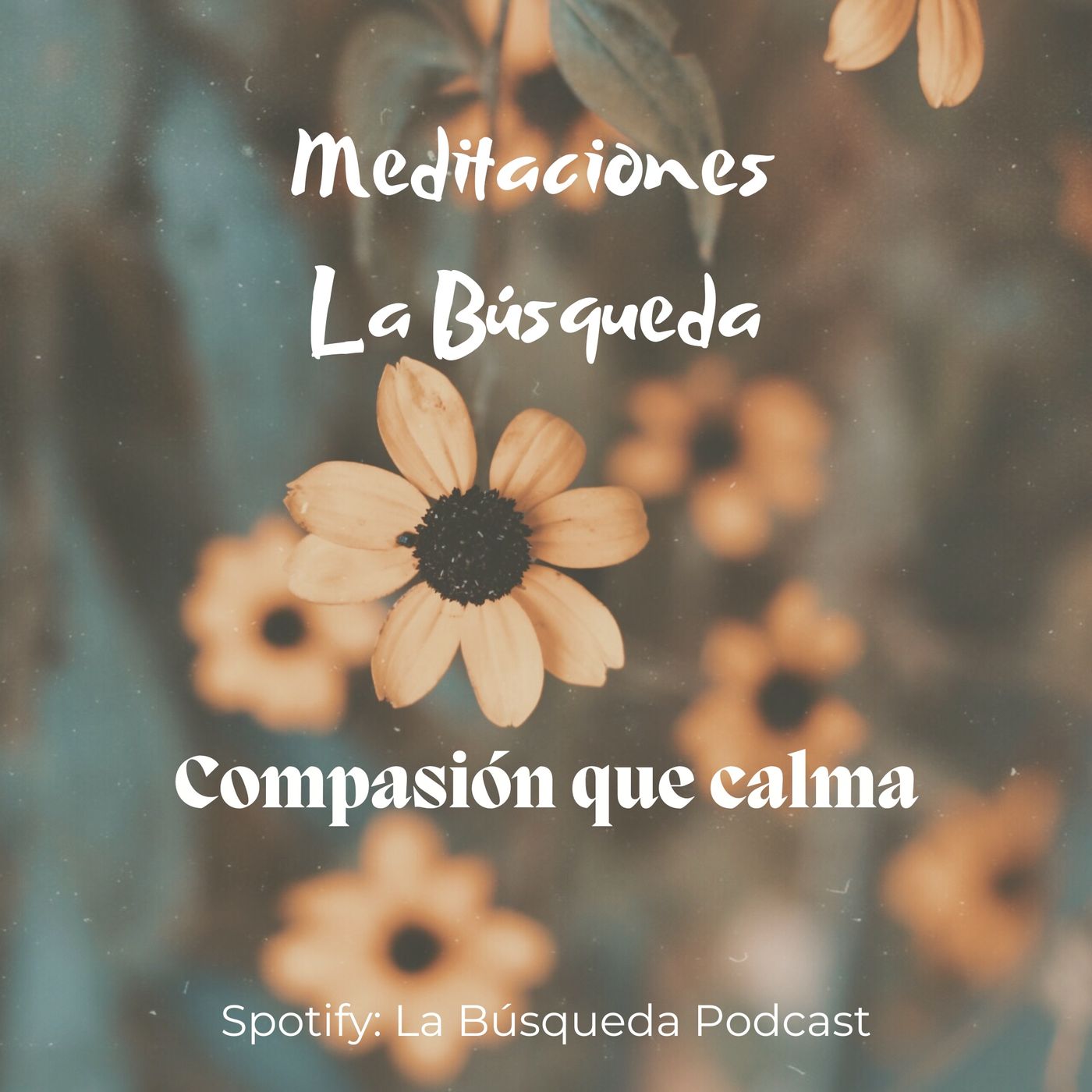 Compasión que calma.