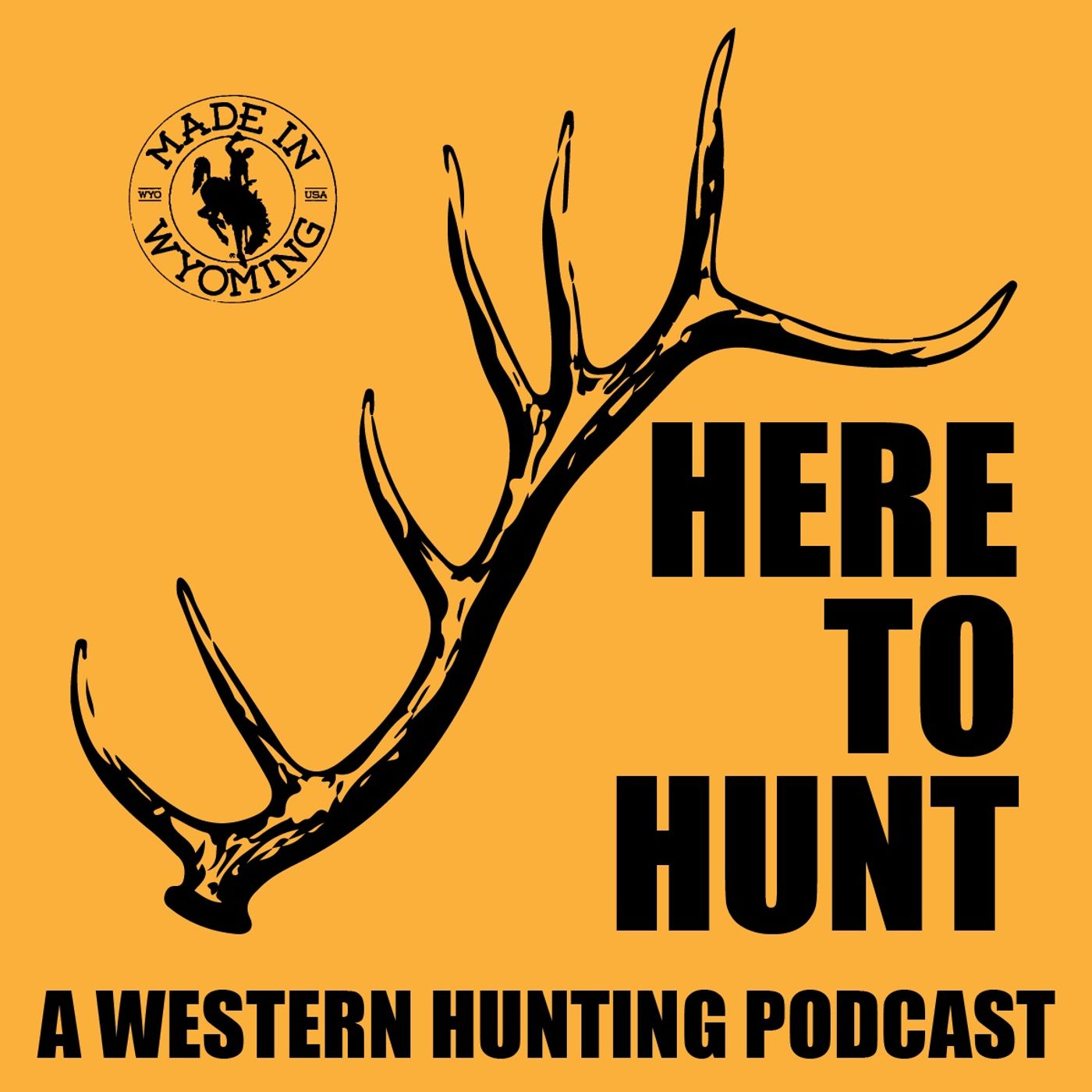 Here to Hunt