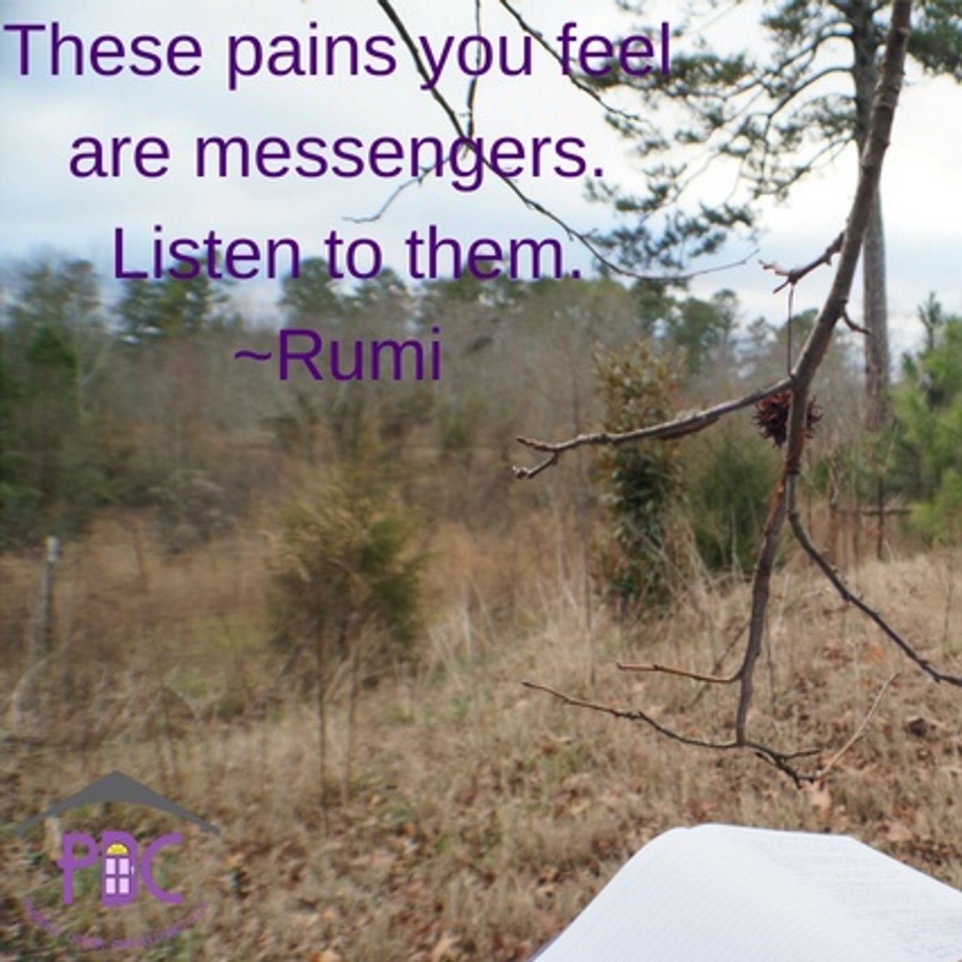 Live Life In The Purple