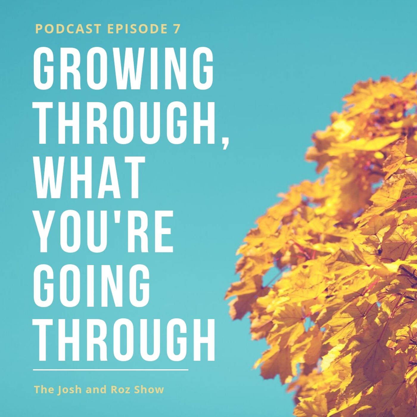 Growing Through, What You're Going Through episode artwork