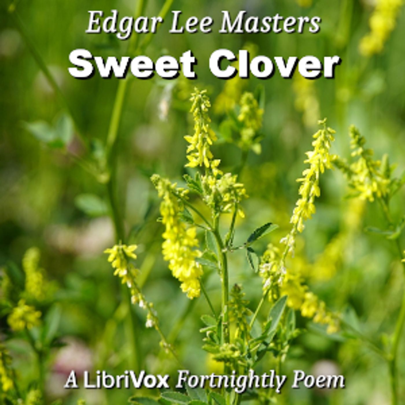 Edgar Lee Masters - Sweet Clover cover art
