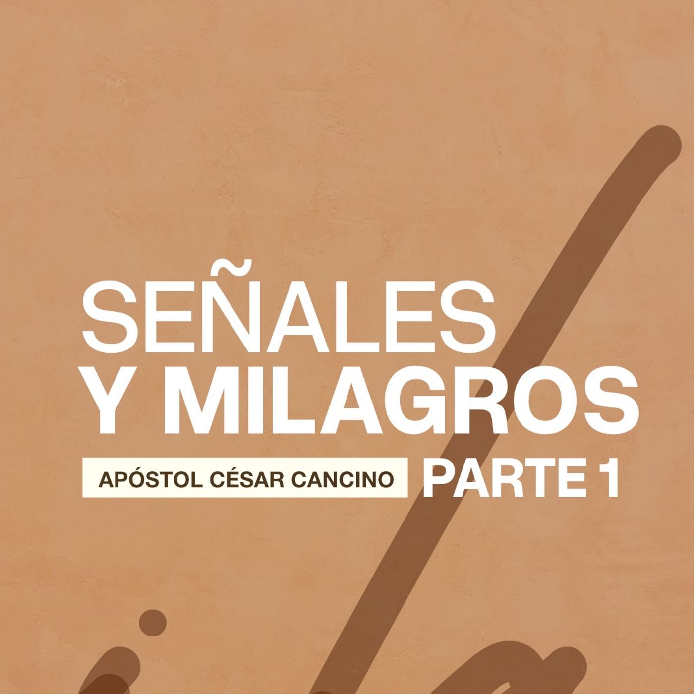 Señales y milagros. Pt1.